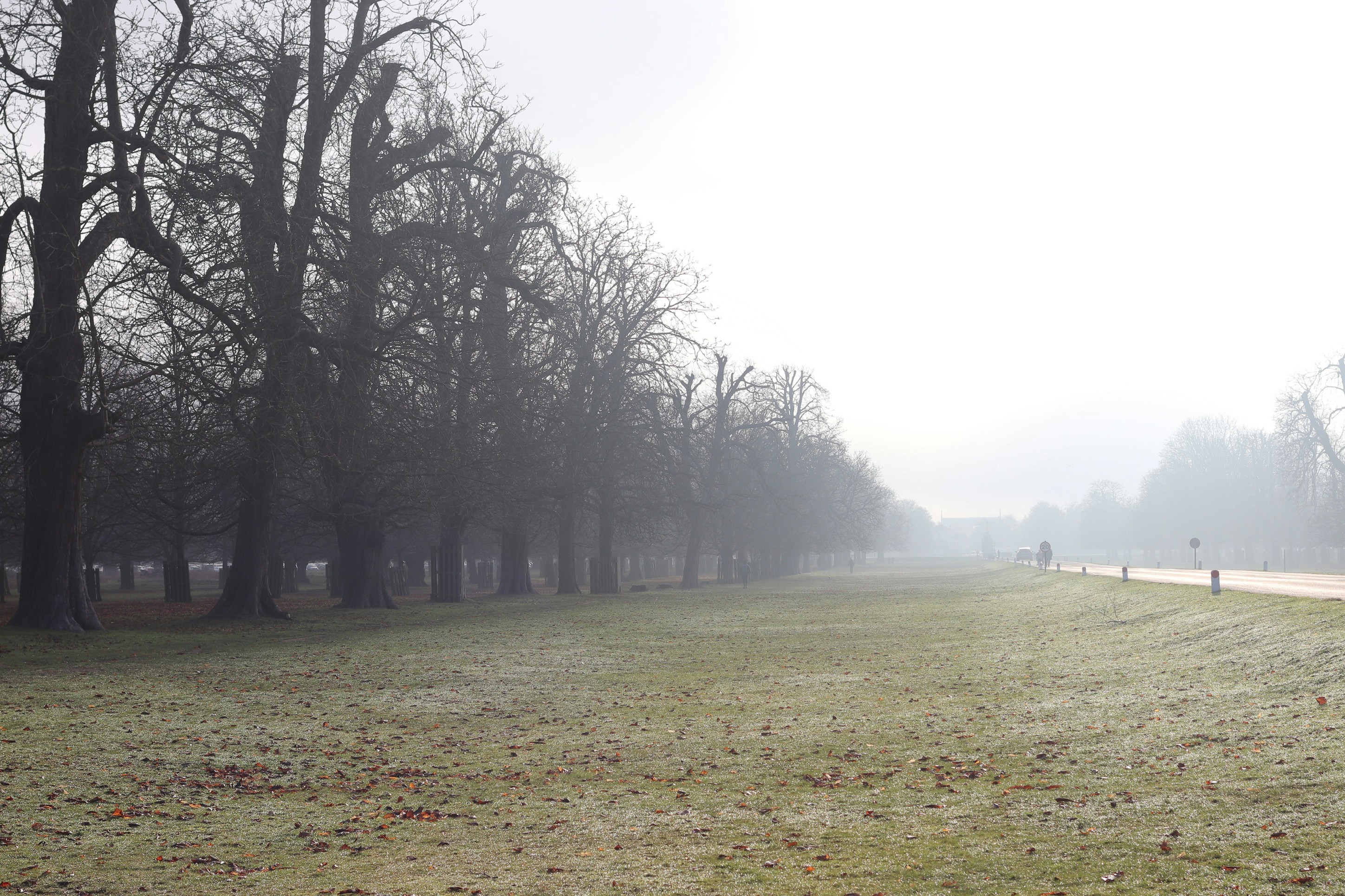 Photo by tanyabarrow