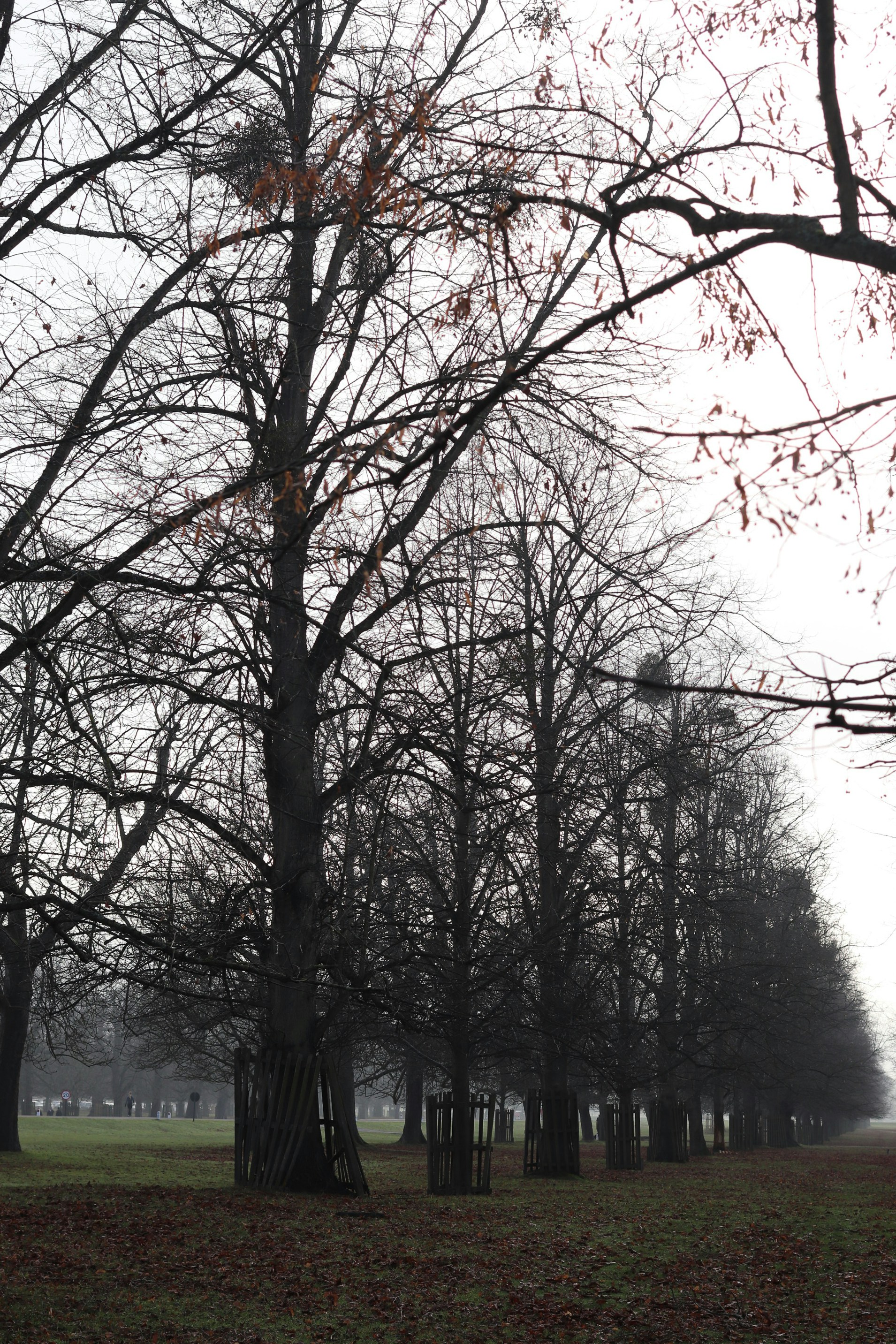 Photo by tanyabarrow