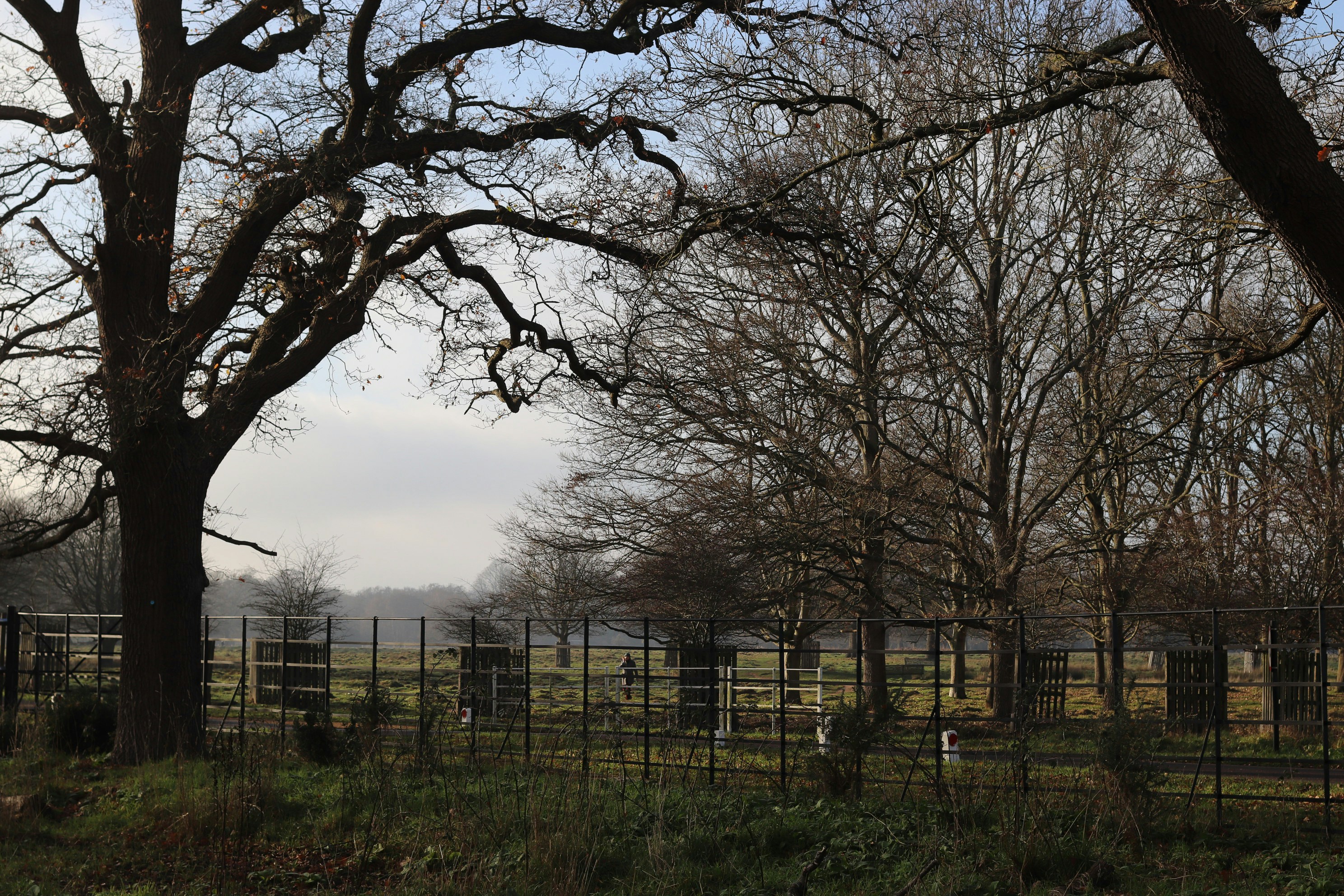 Photo by tanyabarrow