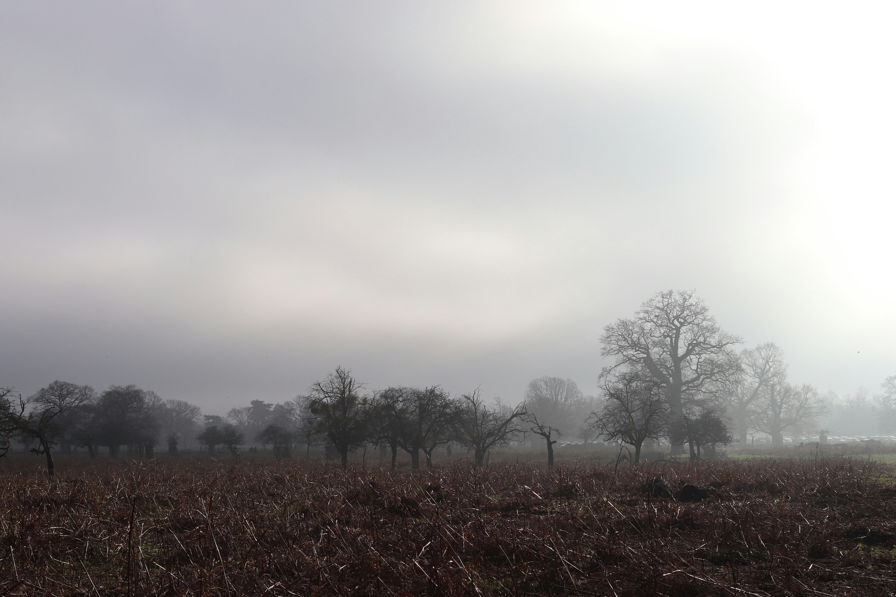 Photo by tanyabarrow