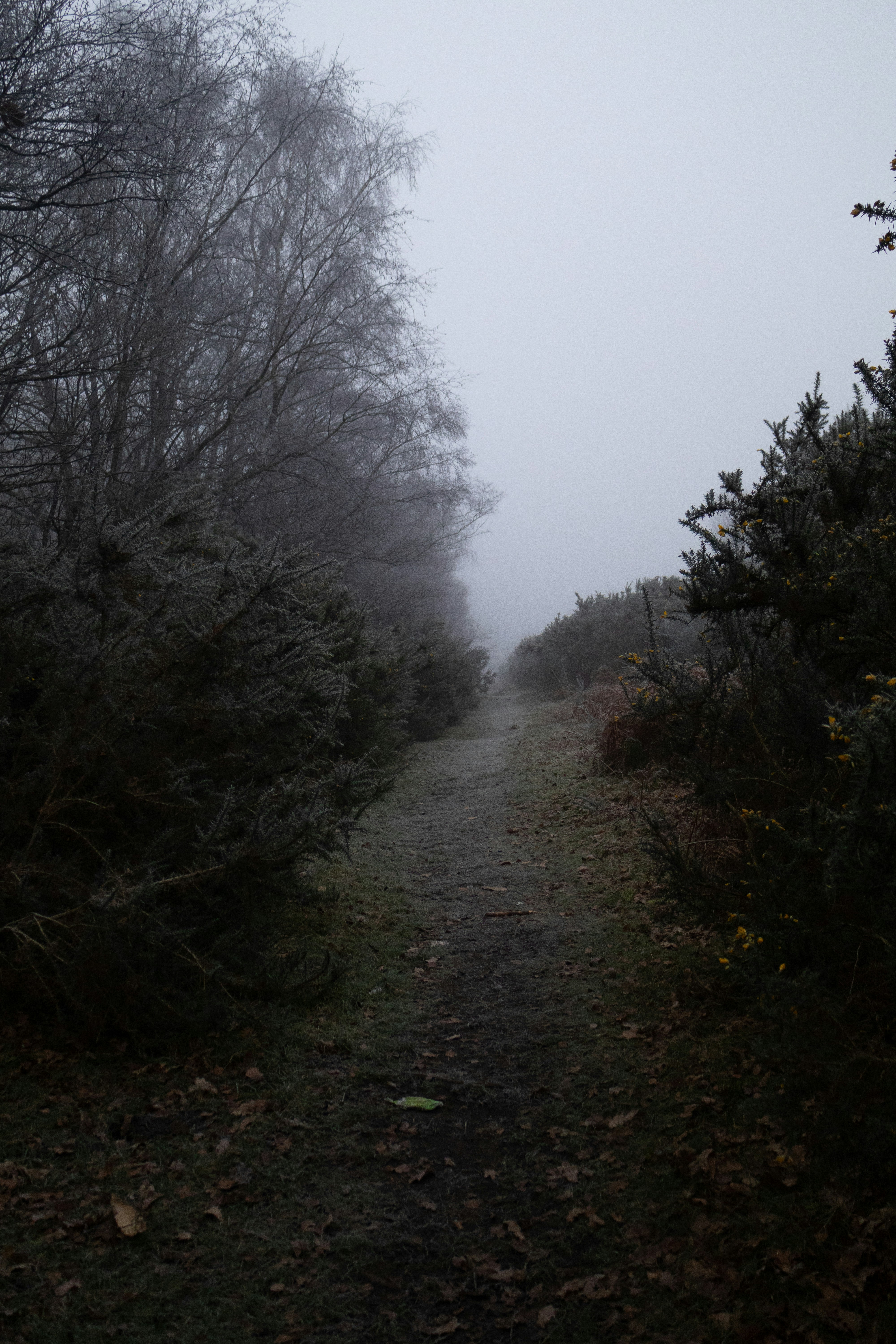 Photo by tanyabarrow