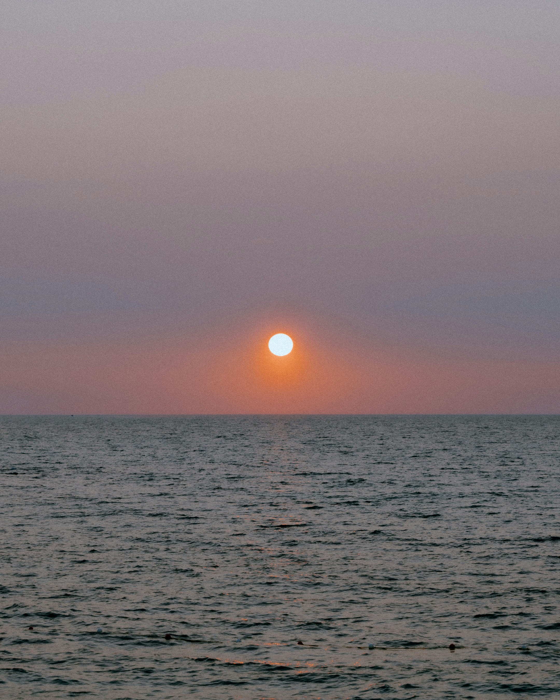 Photo by velvetcabana