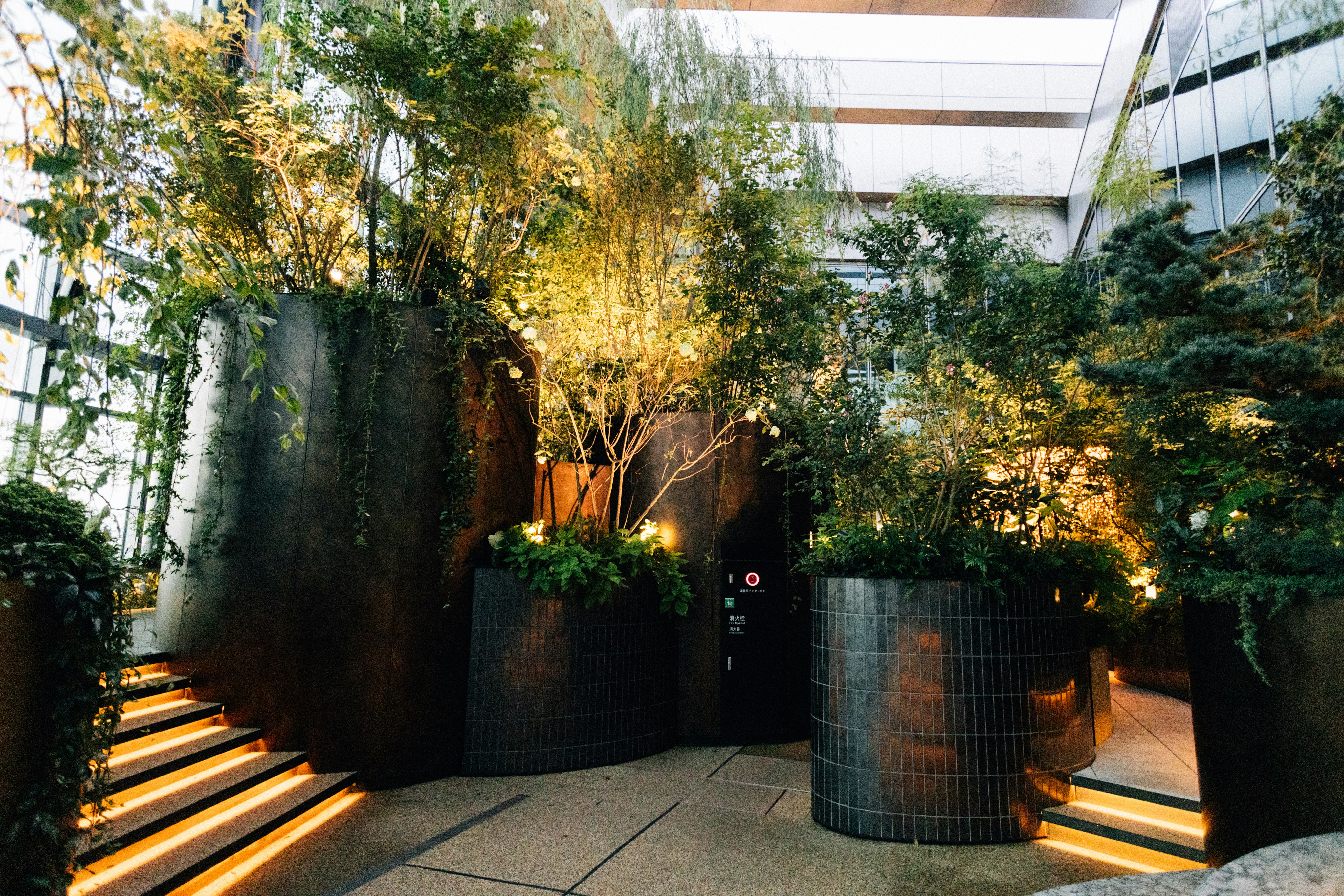 Photo by tsuyoshikozu