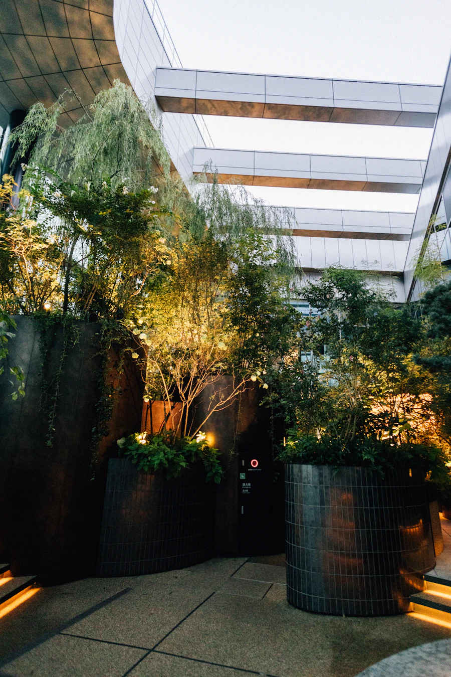 Urban terrace garden with planters at dusk