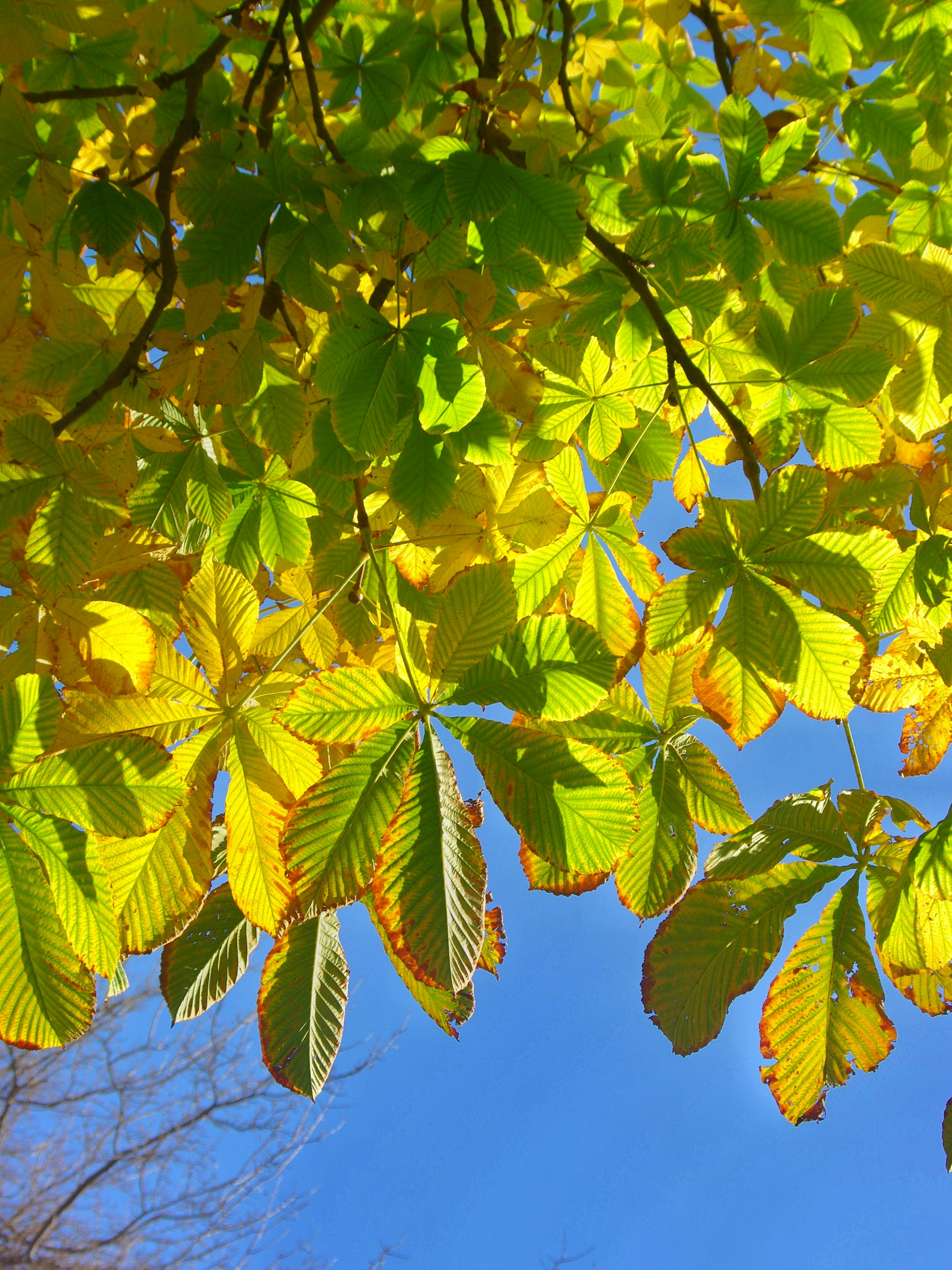 Photo by orkhansweden