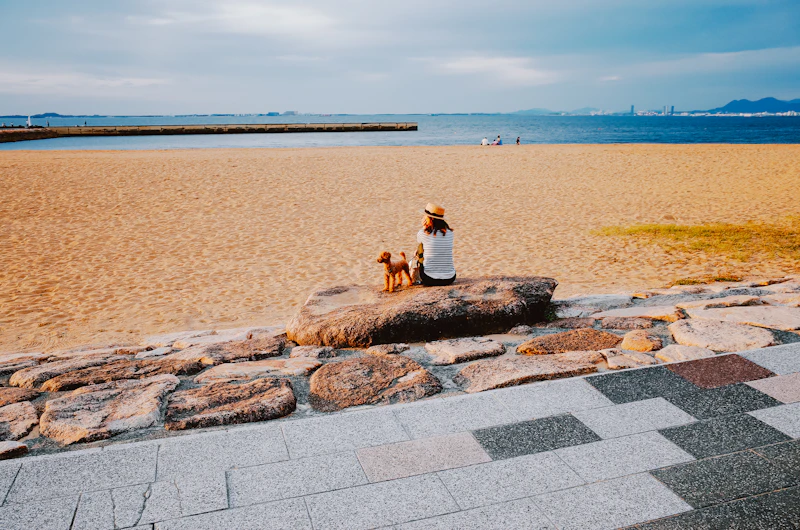 Best Pet-Friendly Hotels and Stays in Fukuoka for Travelers With Furry Companions