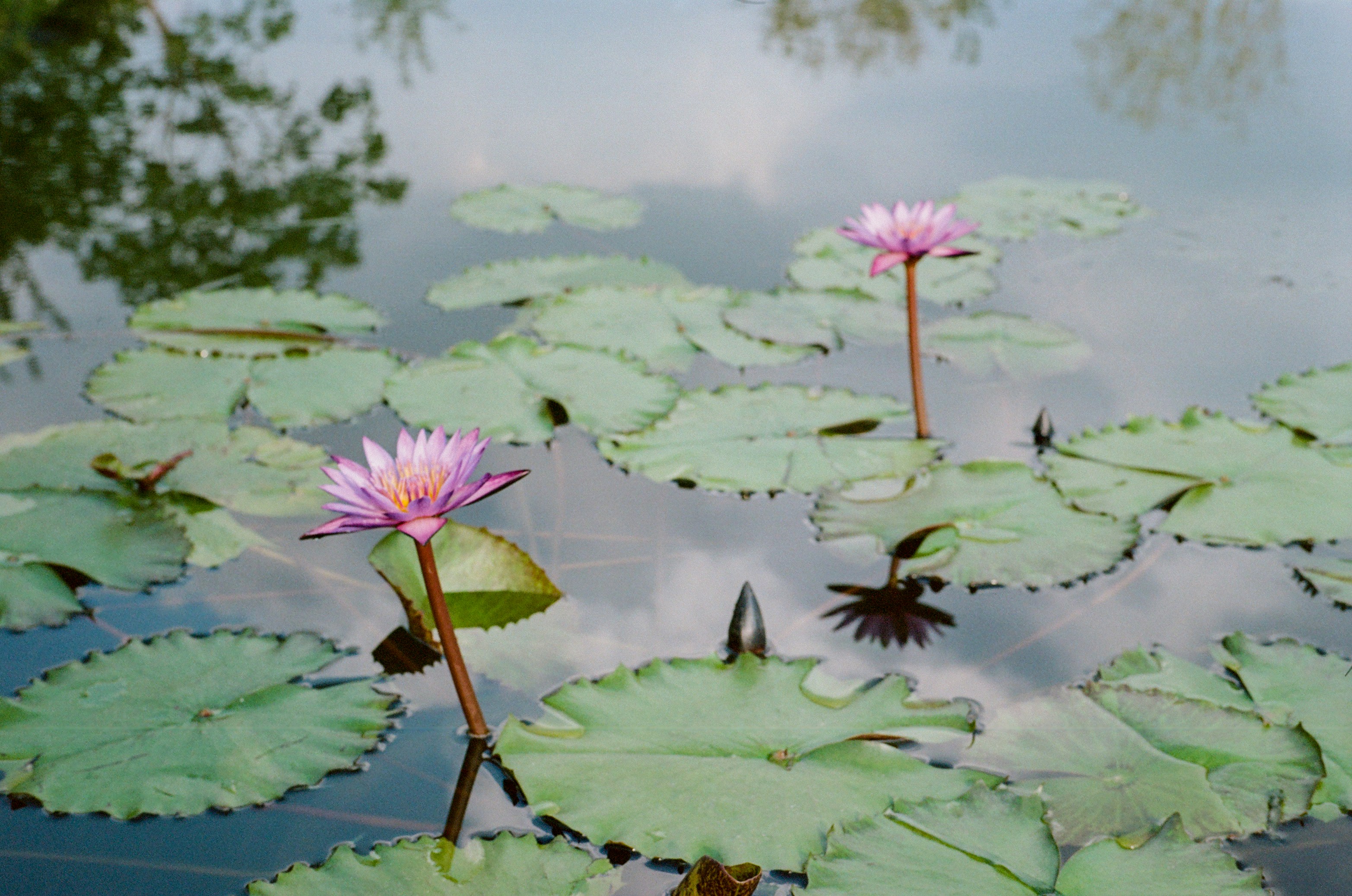 Photo by jeancarloemer