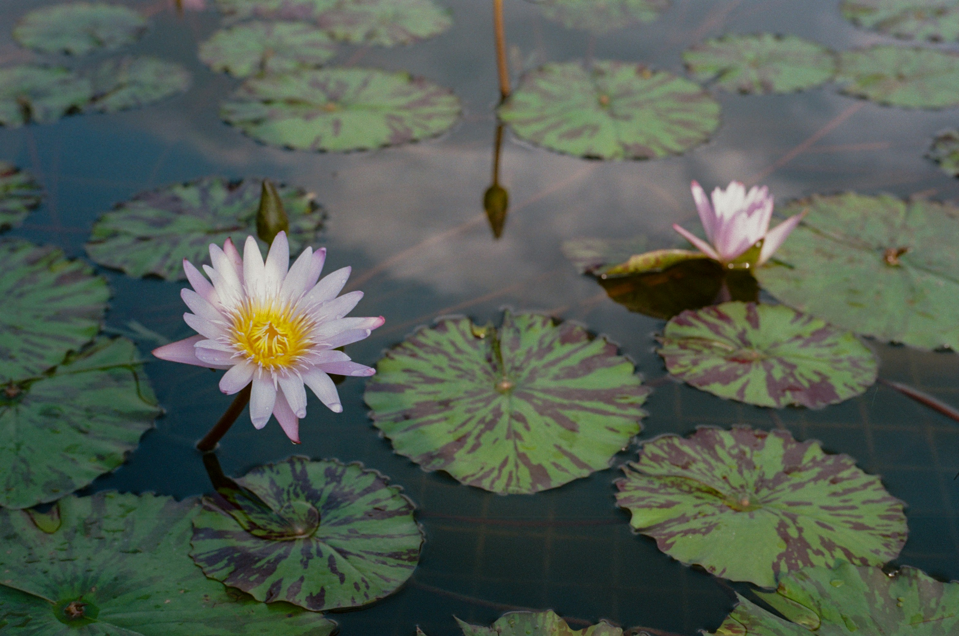 Photo by jeancarloemer