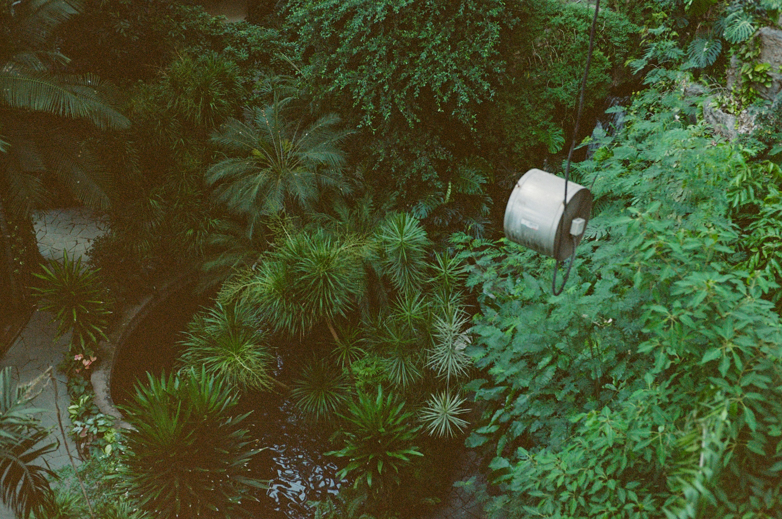 A large white cylinder rests among lush green foliage.