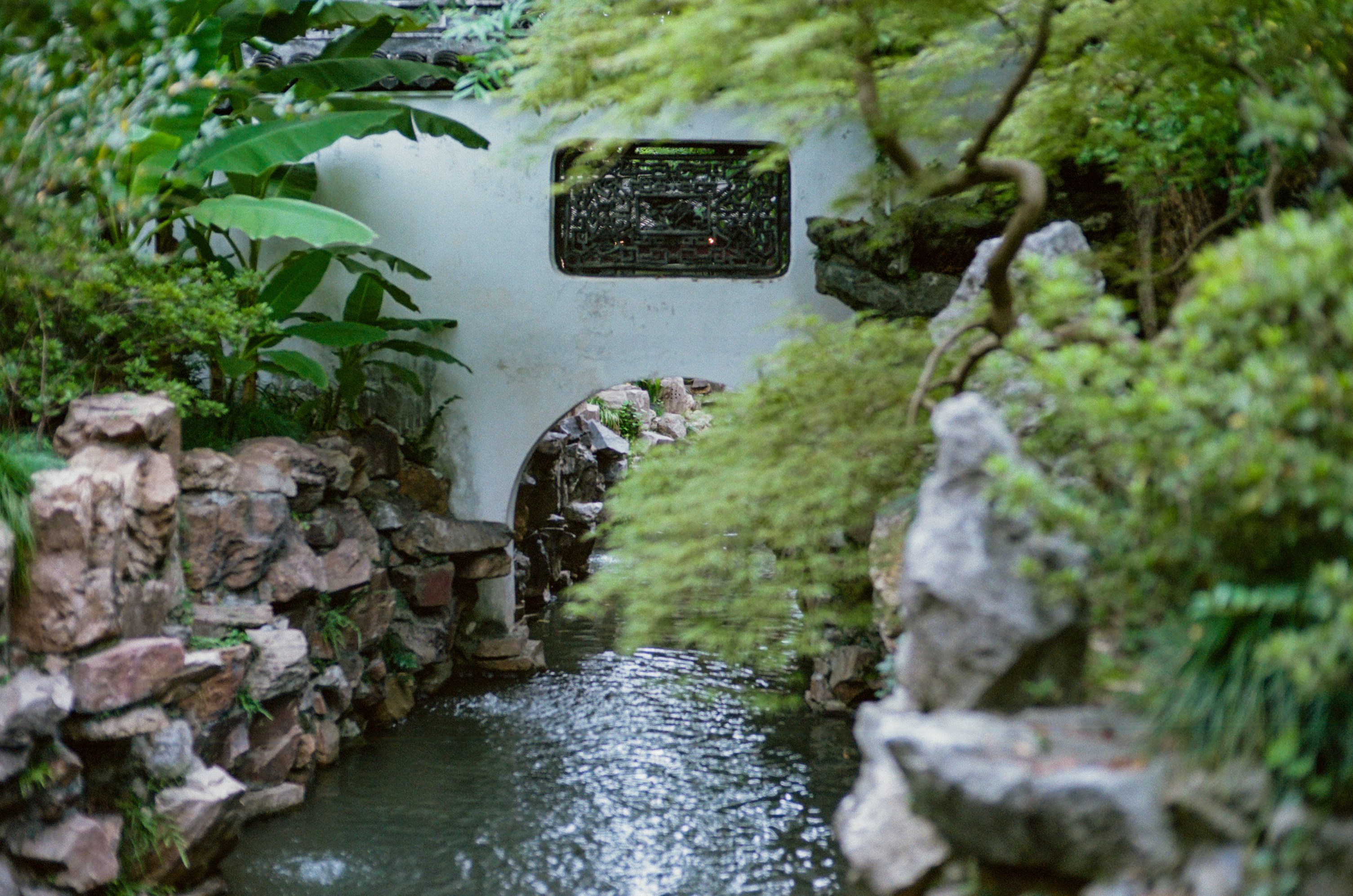 Photo by jeancarloemer