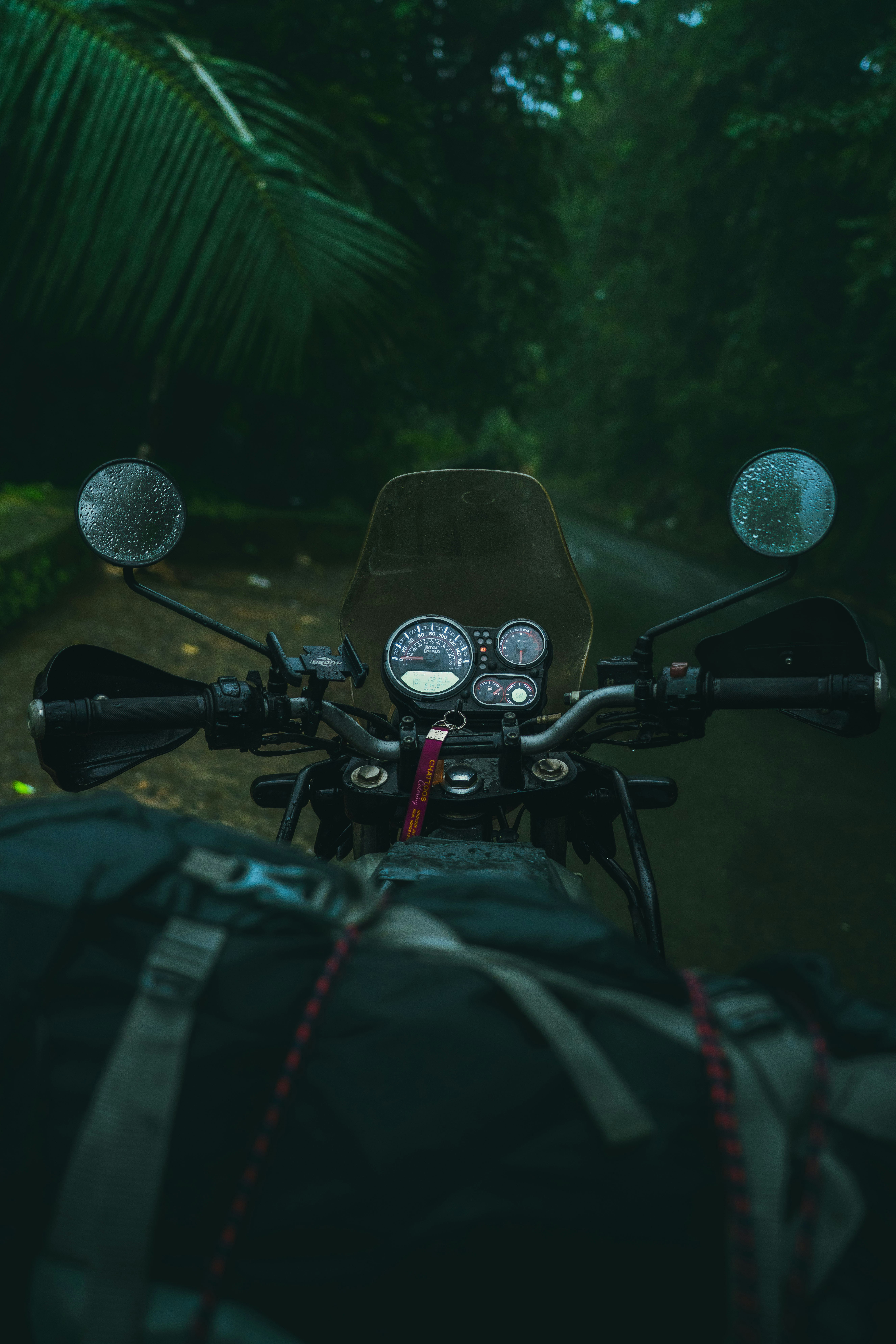 Motorcycle parked on a road surrounded by greenery