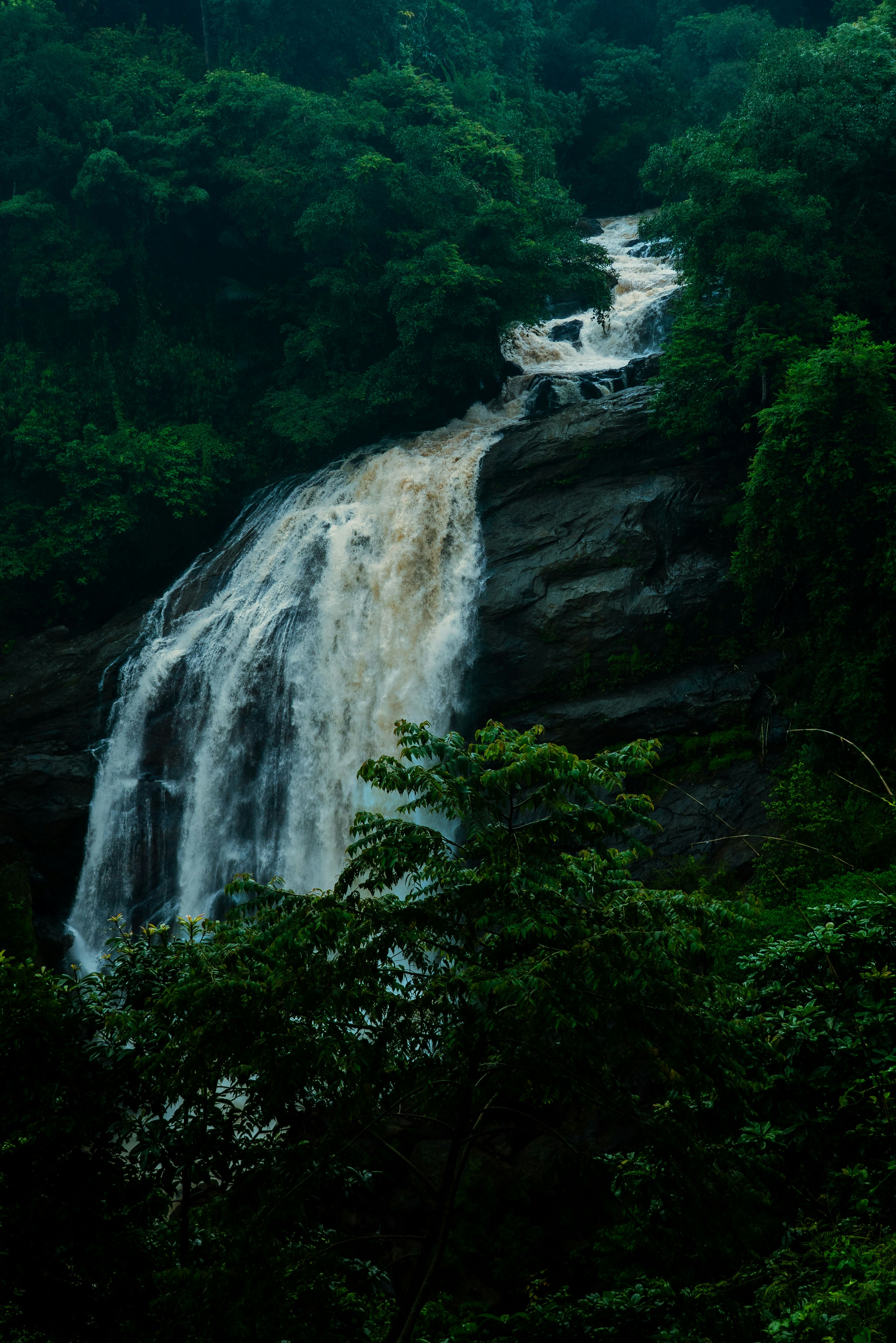 Waterfall cascading through lush green forest foliage.