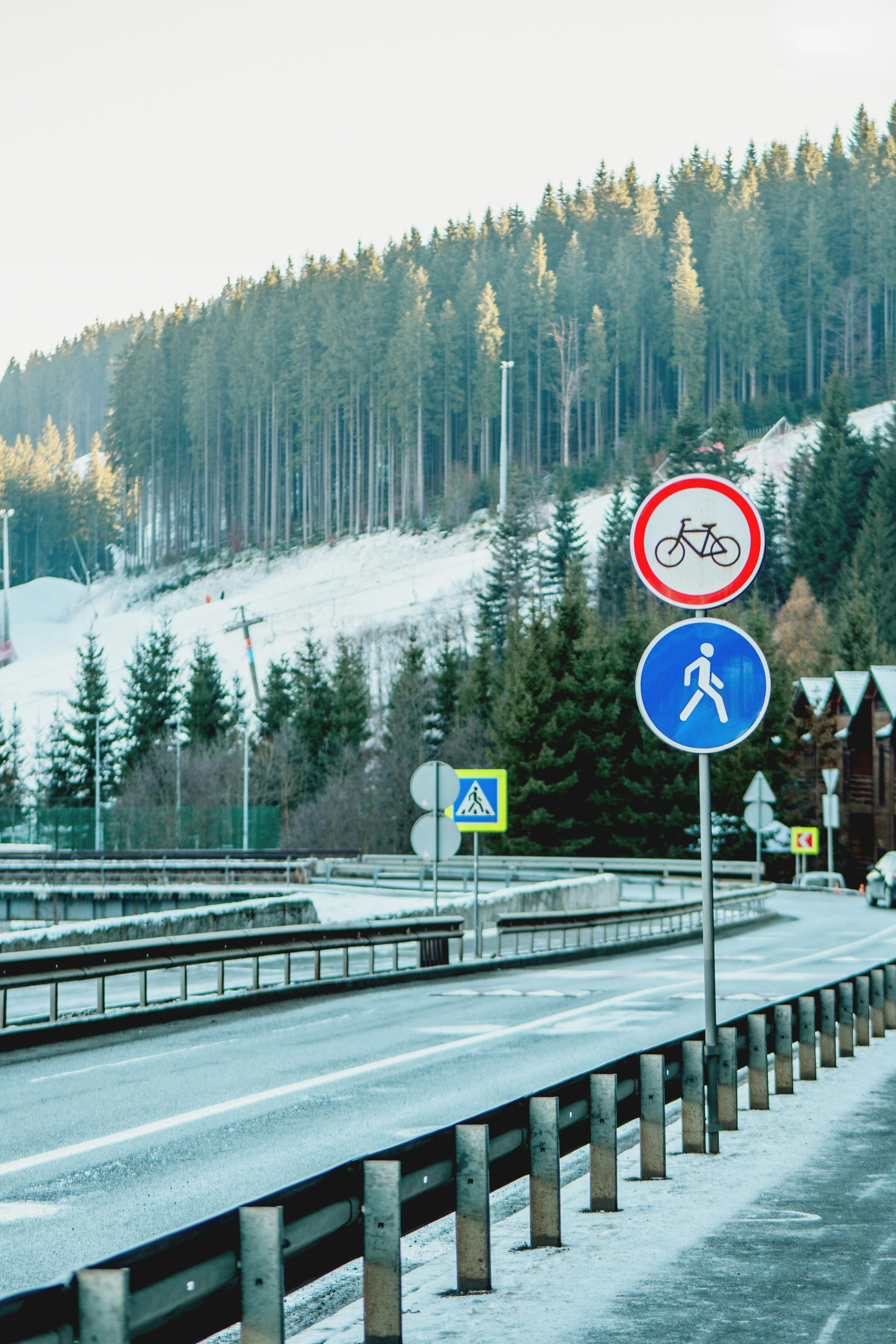Road signs for cycling and pedestrians near snowy forest