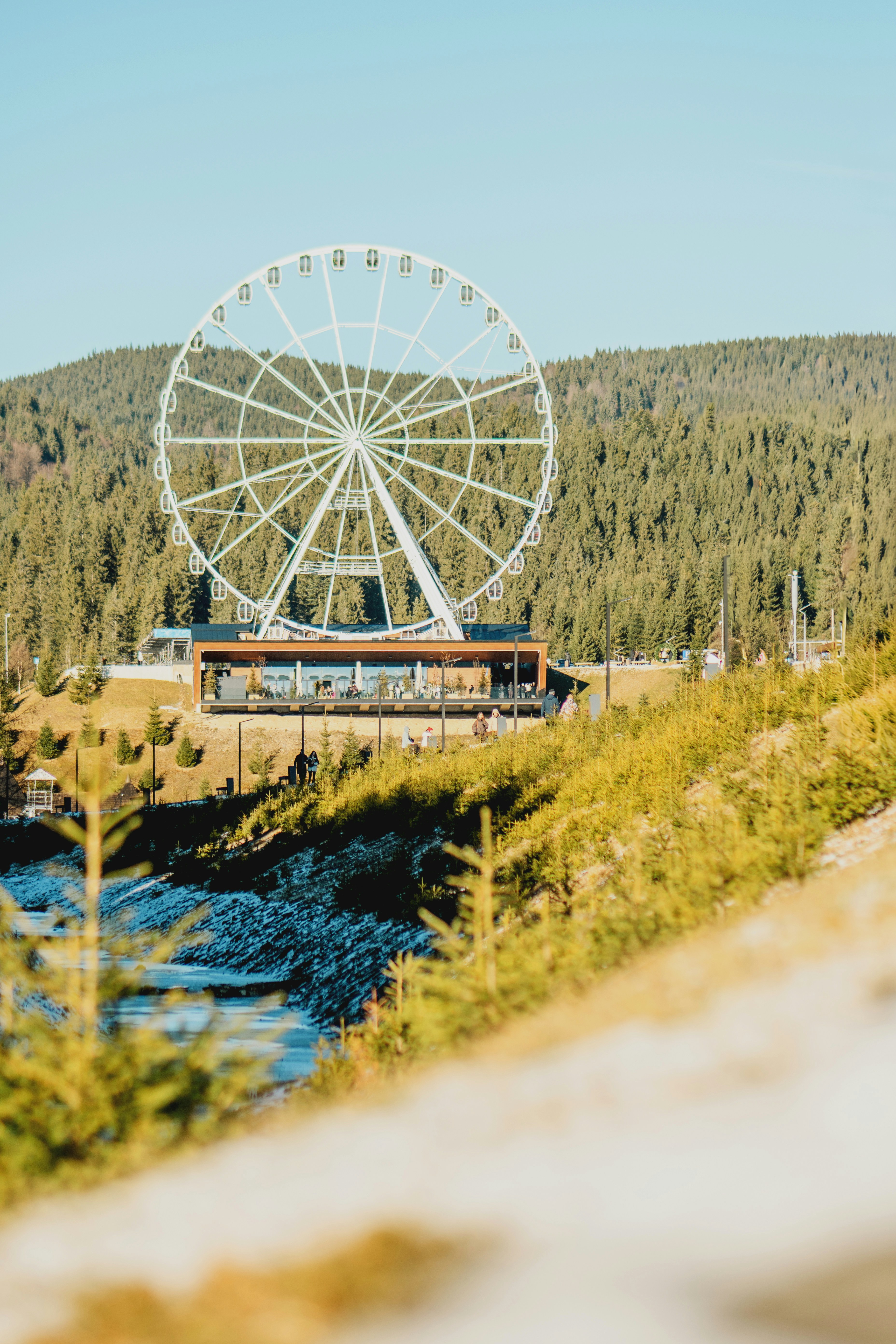 Ferris wheel in a forest landscape with clear sky