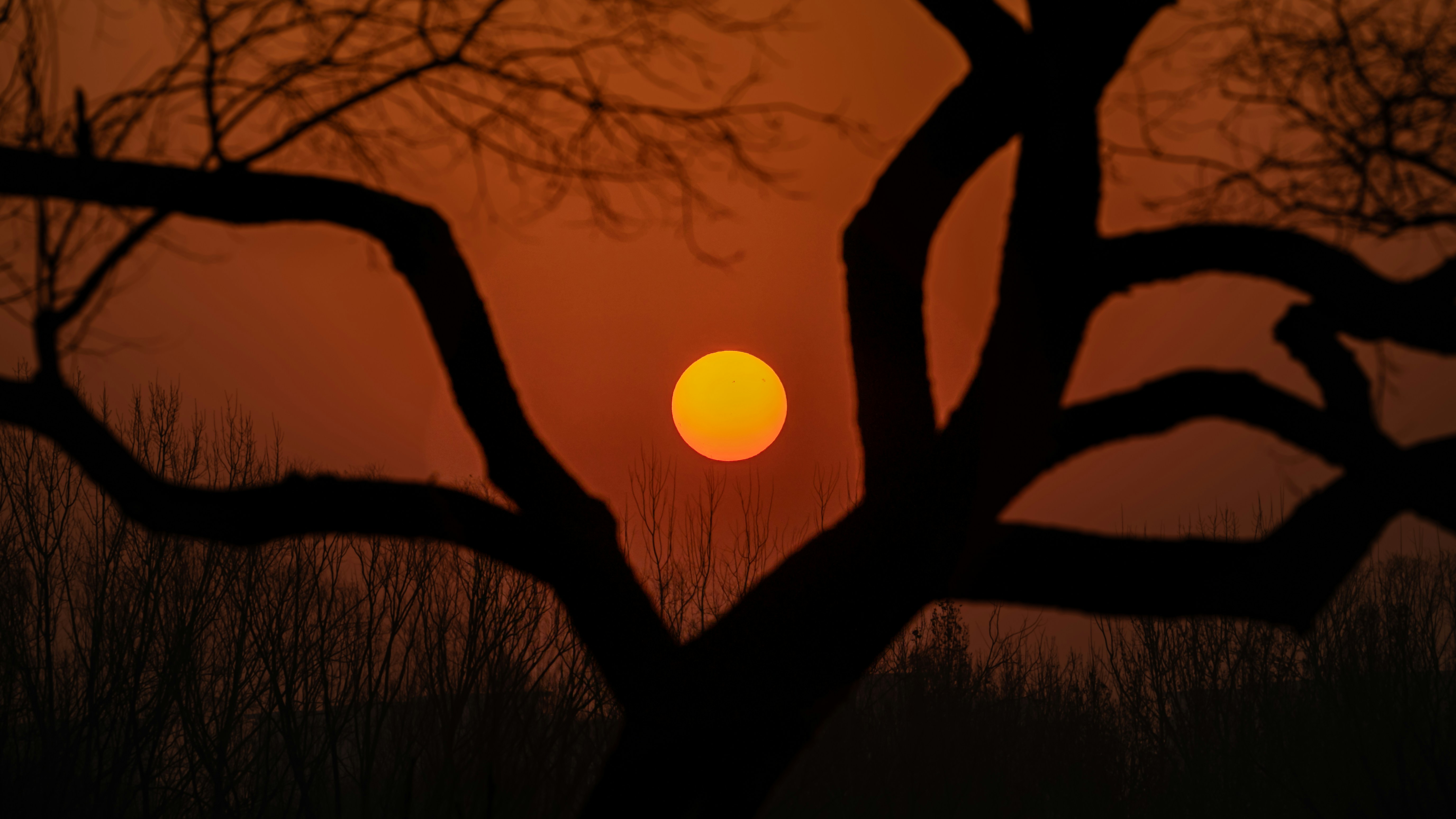 Photo by peek_a_boo_who