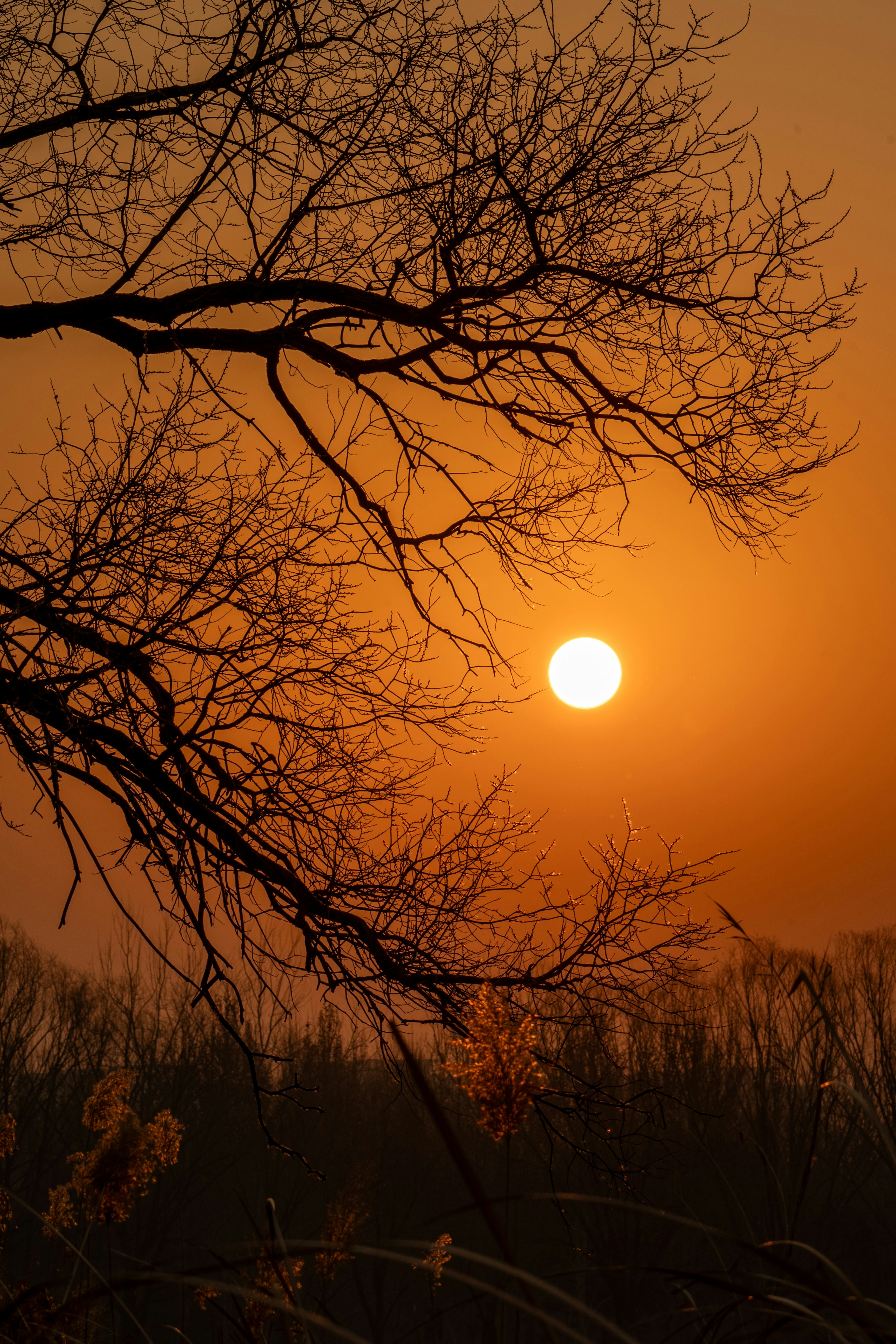 Photo by peek_a_boo_who