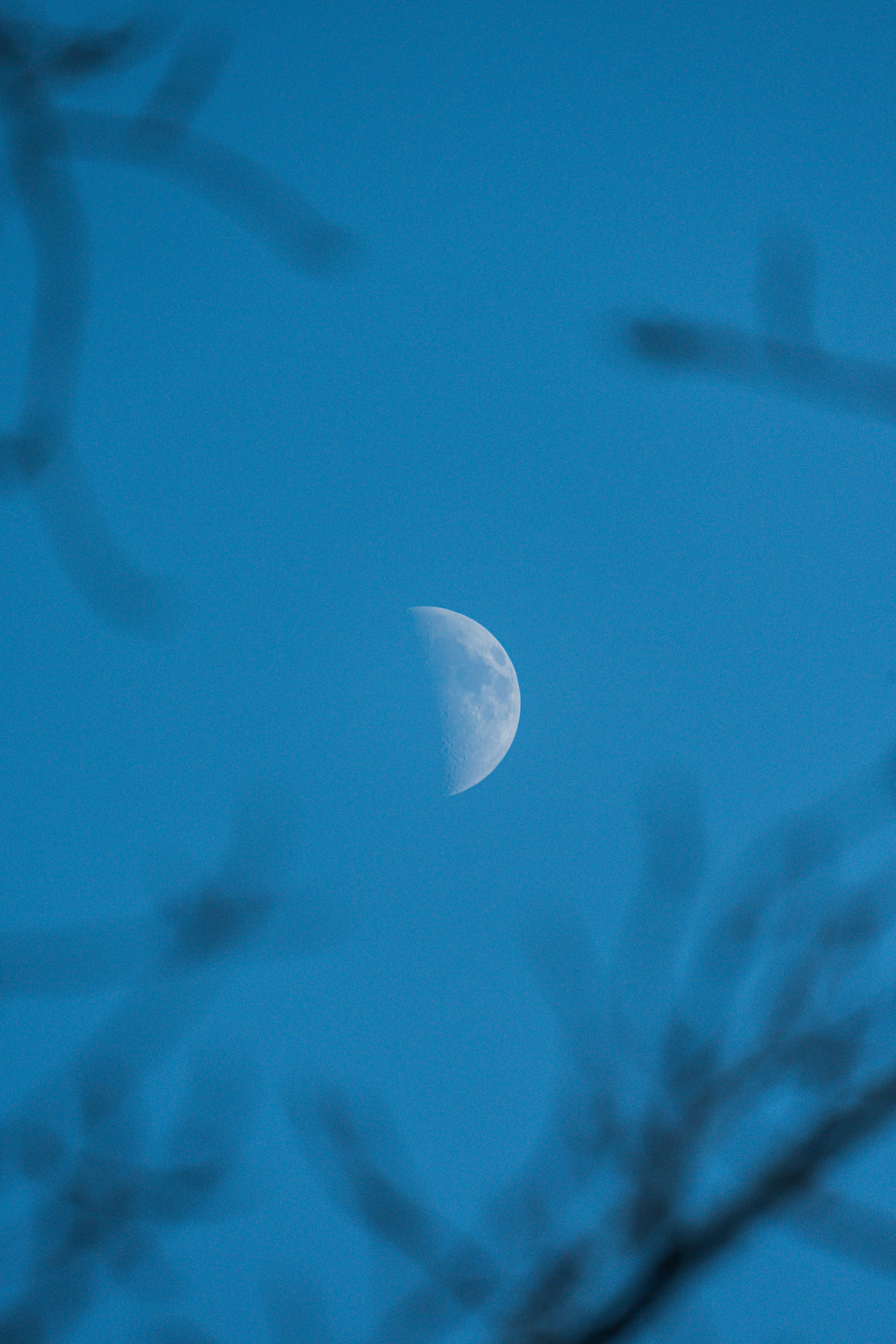 Photo by peek_a_boo_who