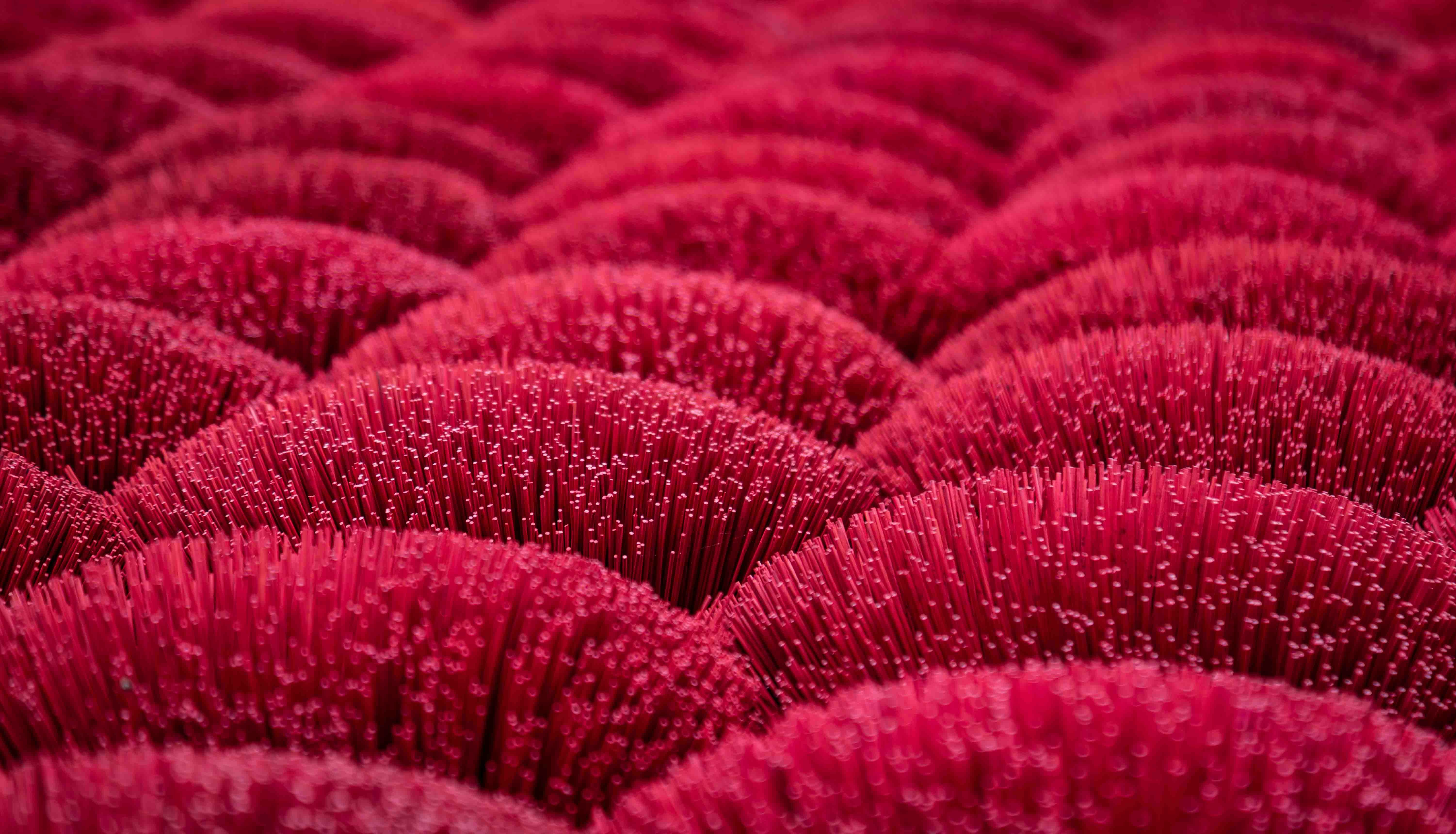 Close-up of fuzzy red textured rows.
