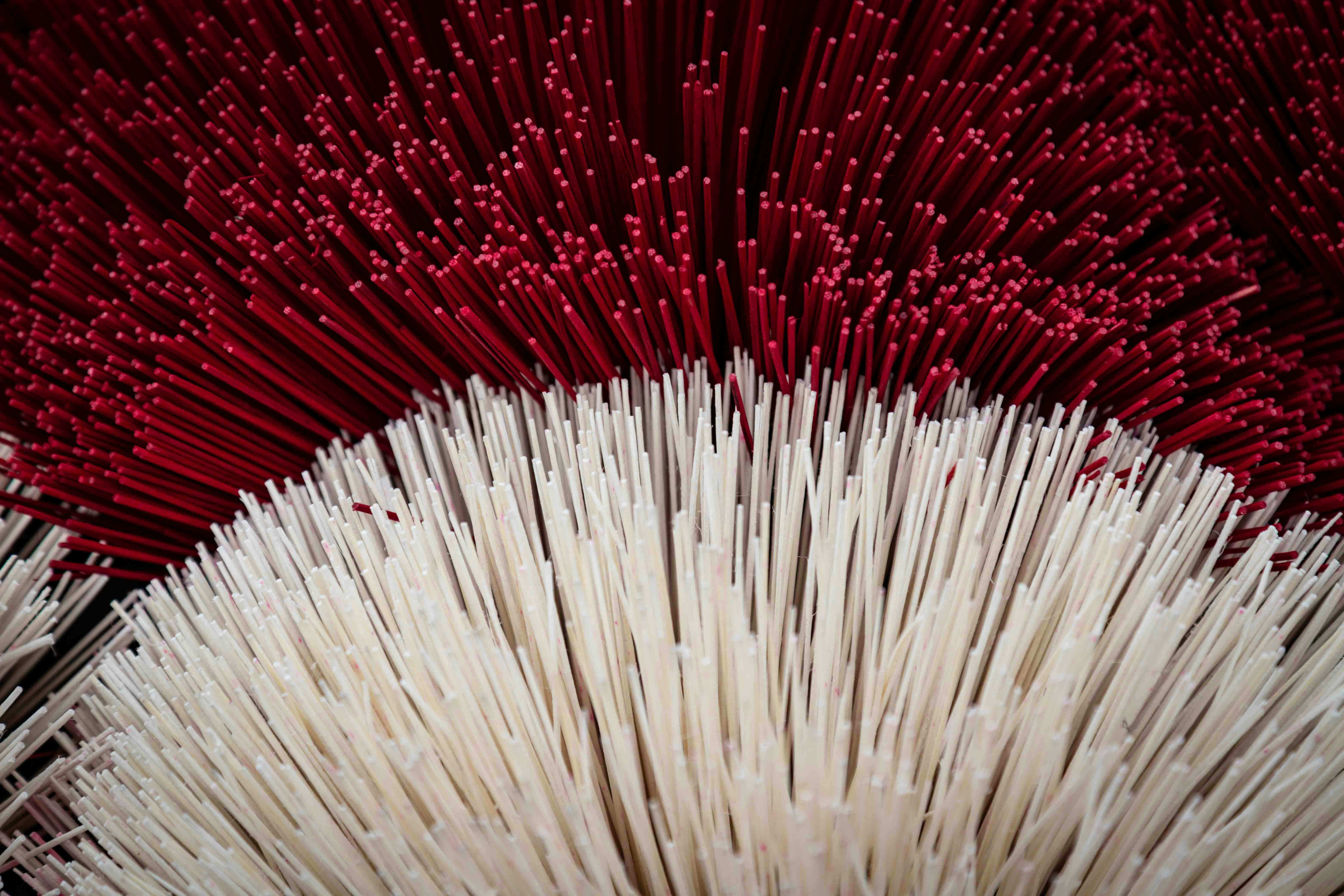 Gros plan des poils rouges et blancs