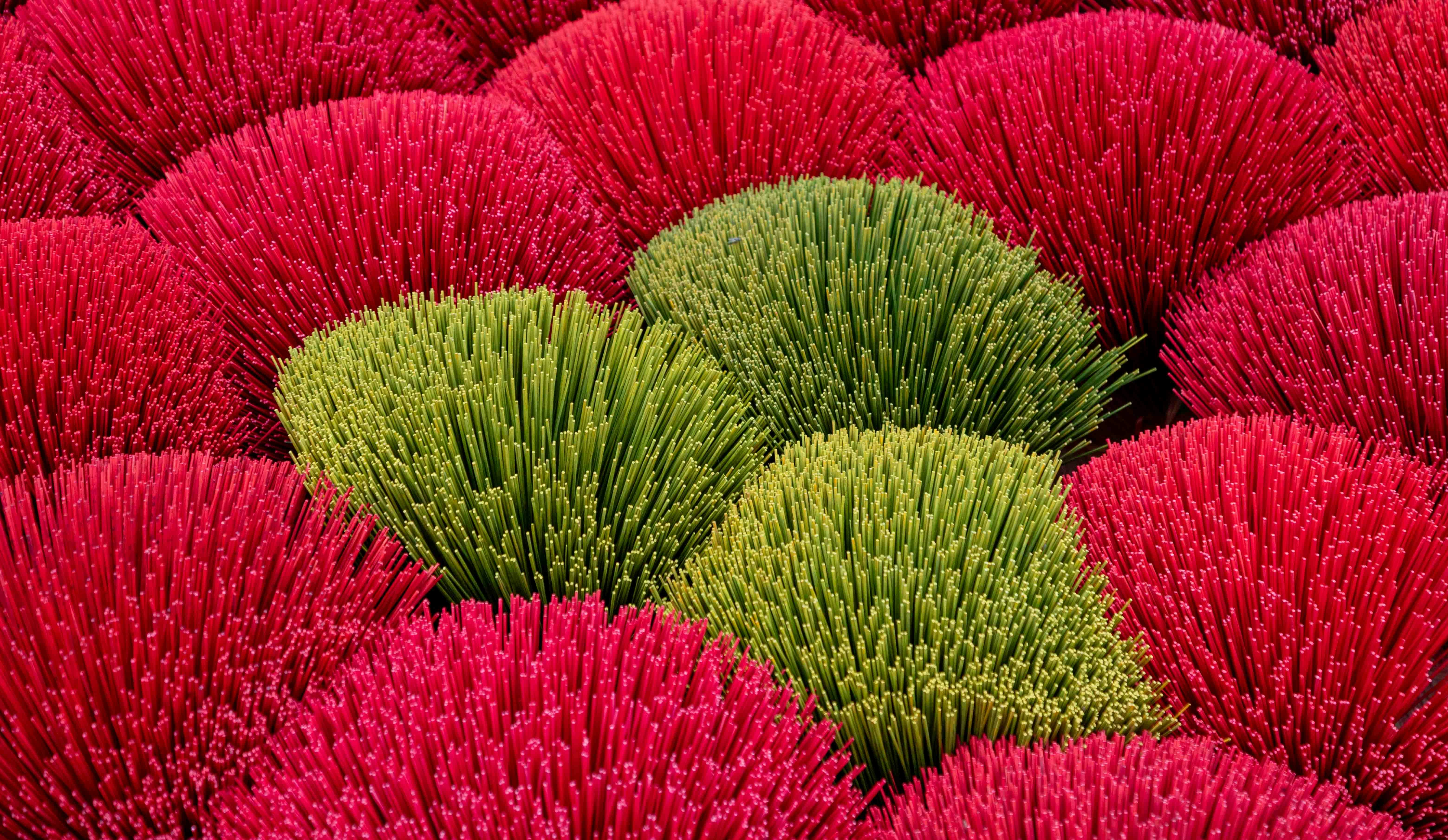Green grass sprouts among red floral elements