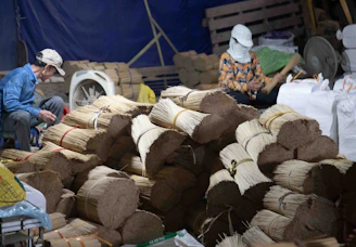Workers sorting bundles of dried reeds in a warehouse.