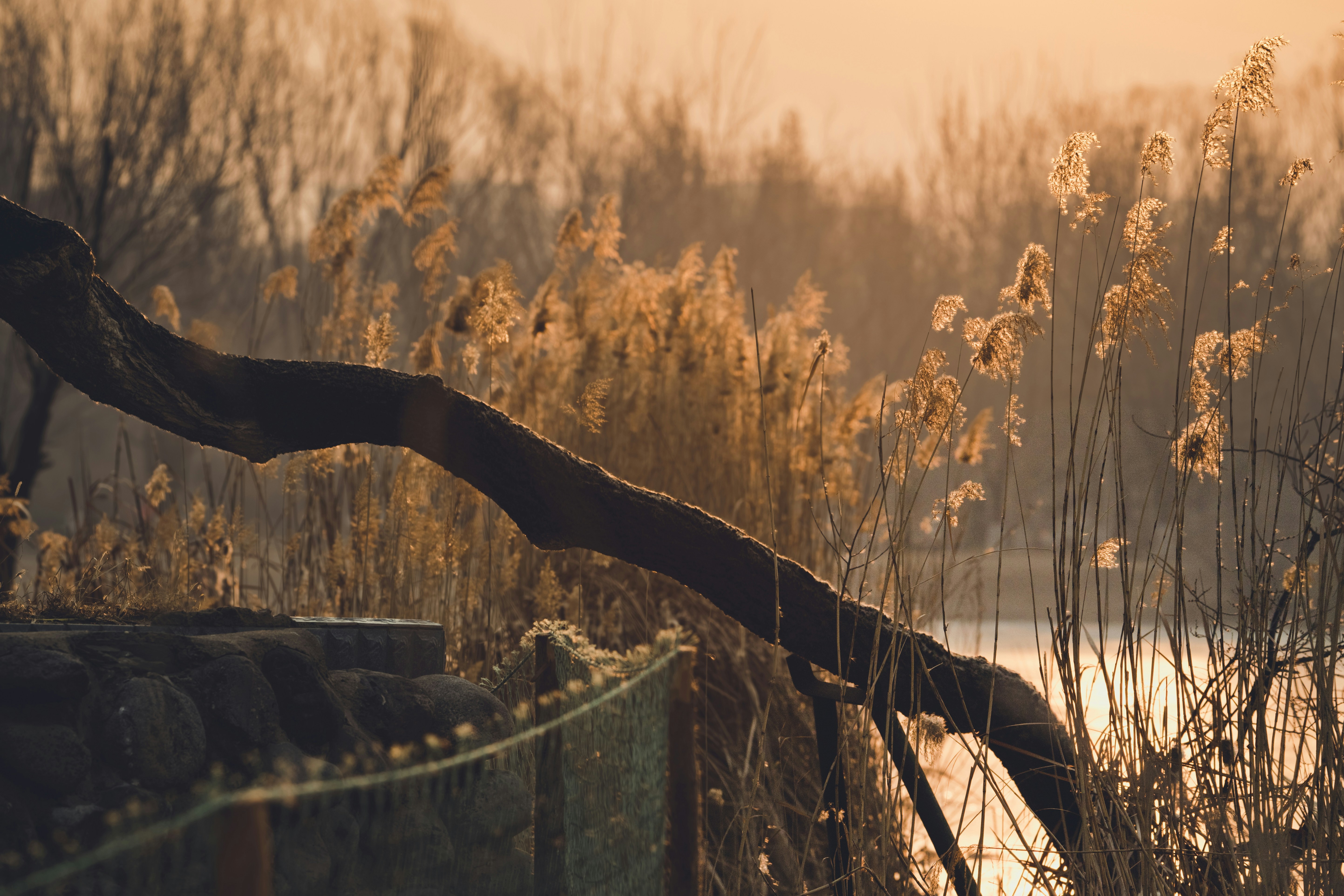 Photo by peek_a_boo_who