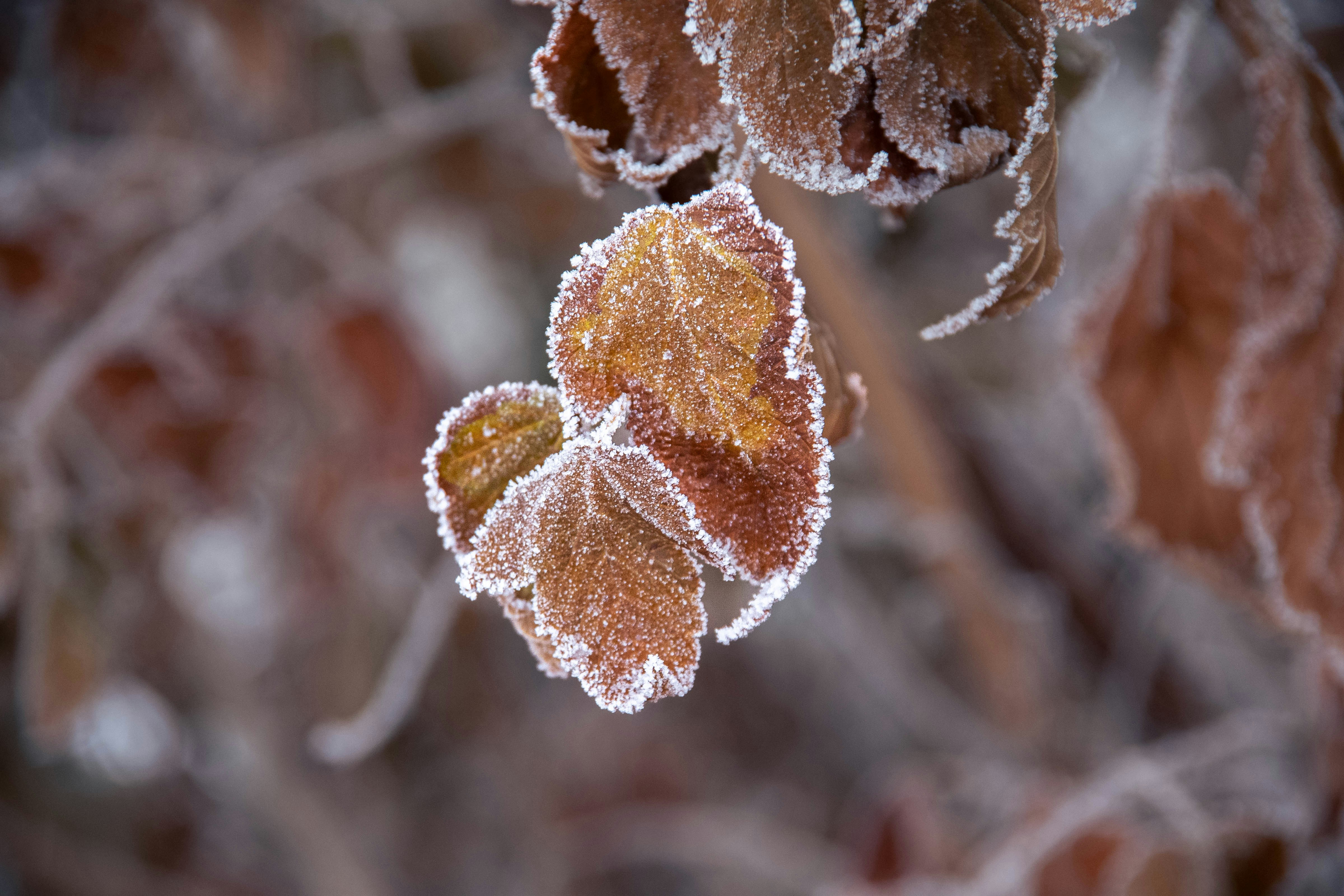 Photo by remmiznairb