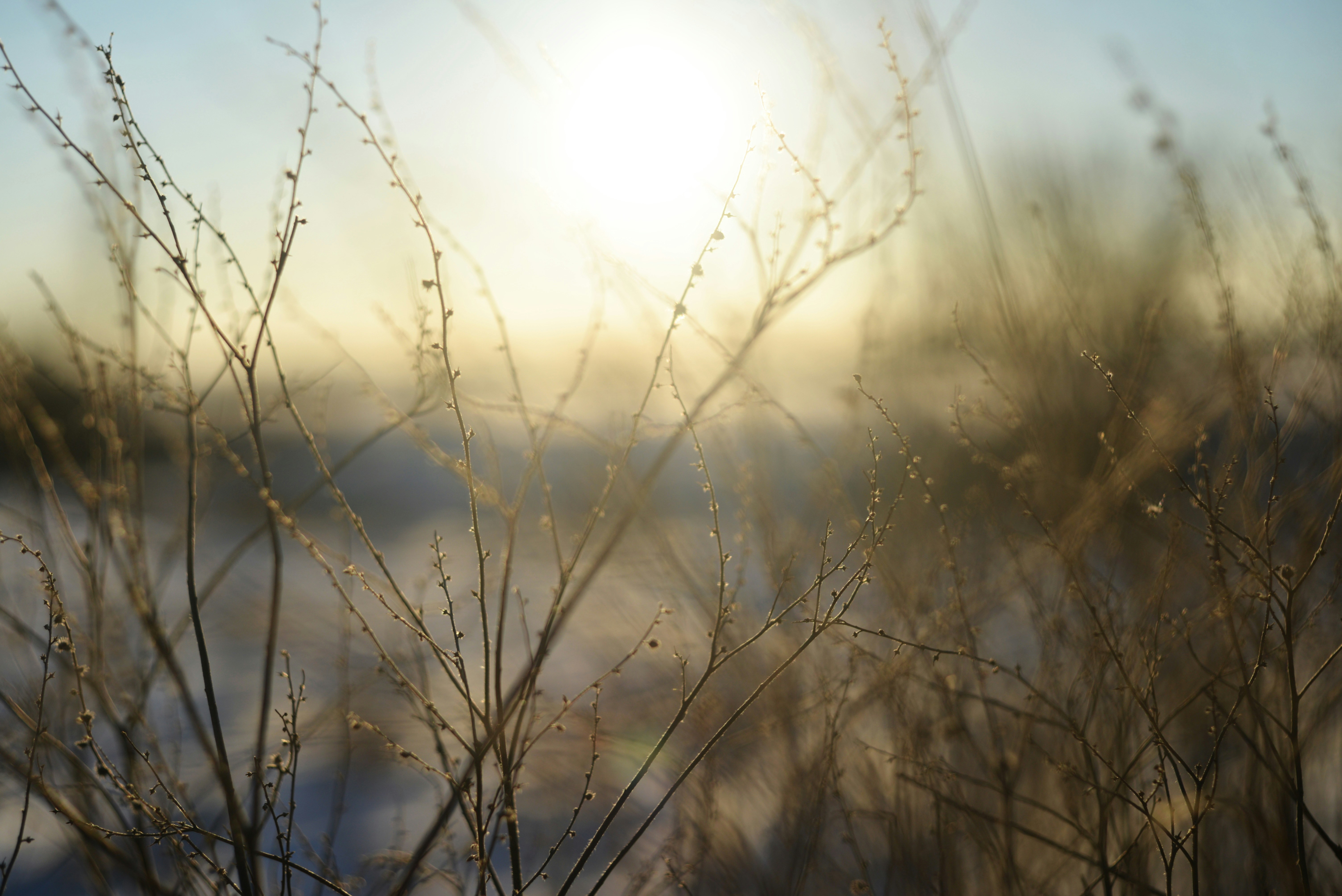 Photo by cherstve_pechivo