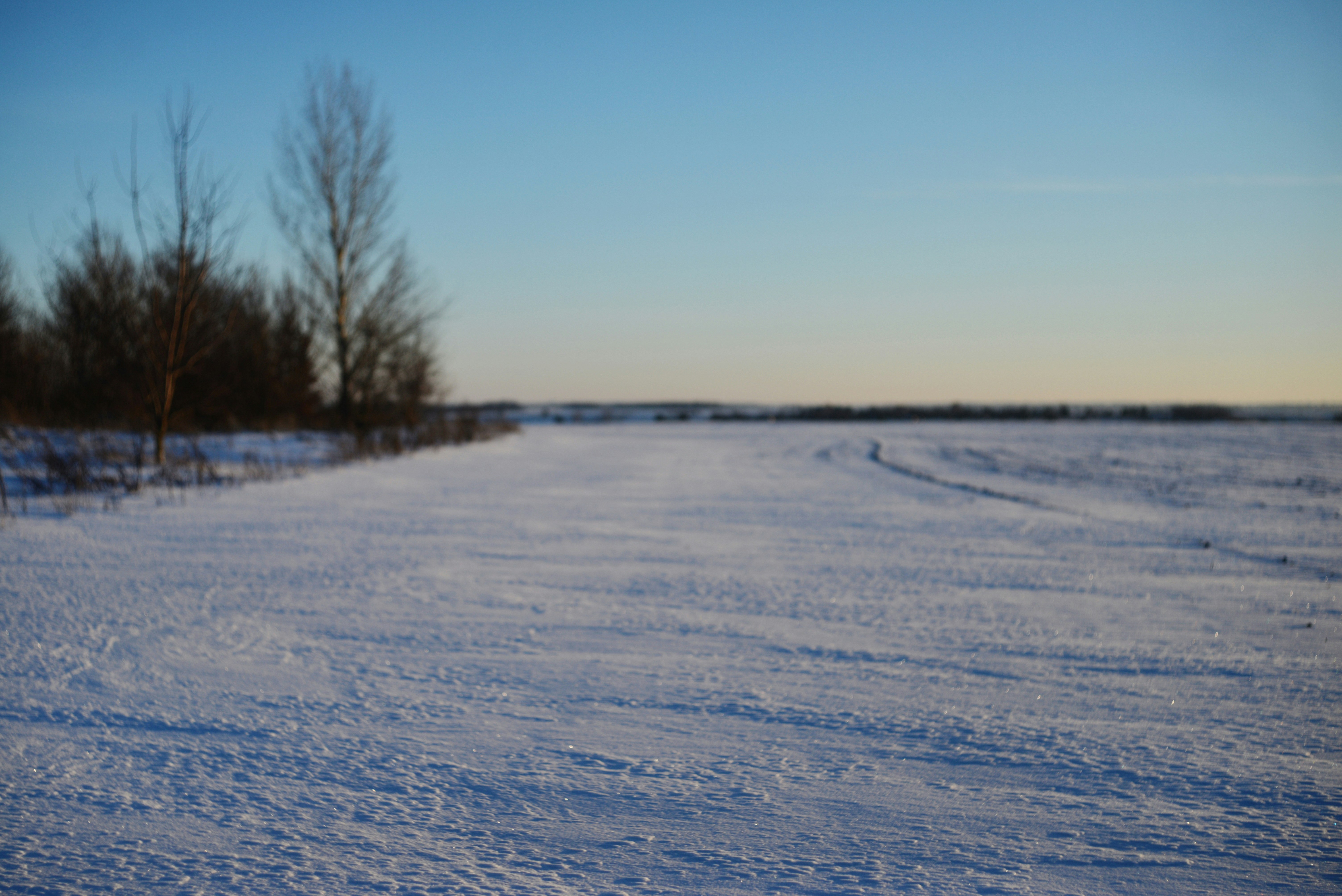 Photo by cherstve_pechivo