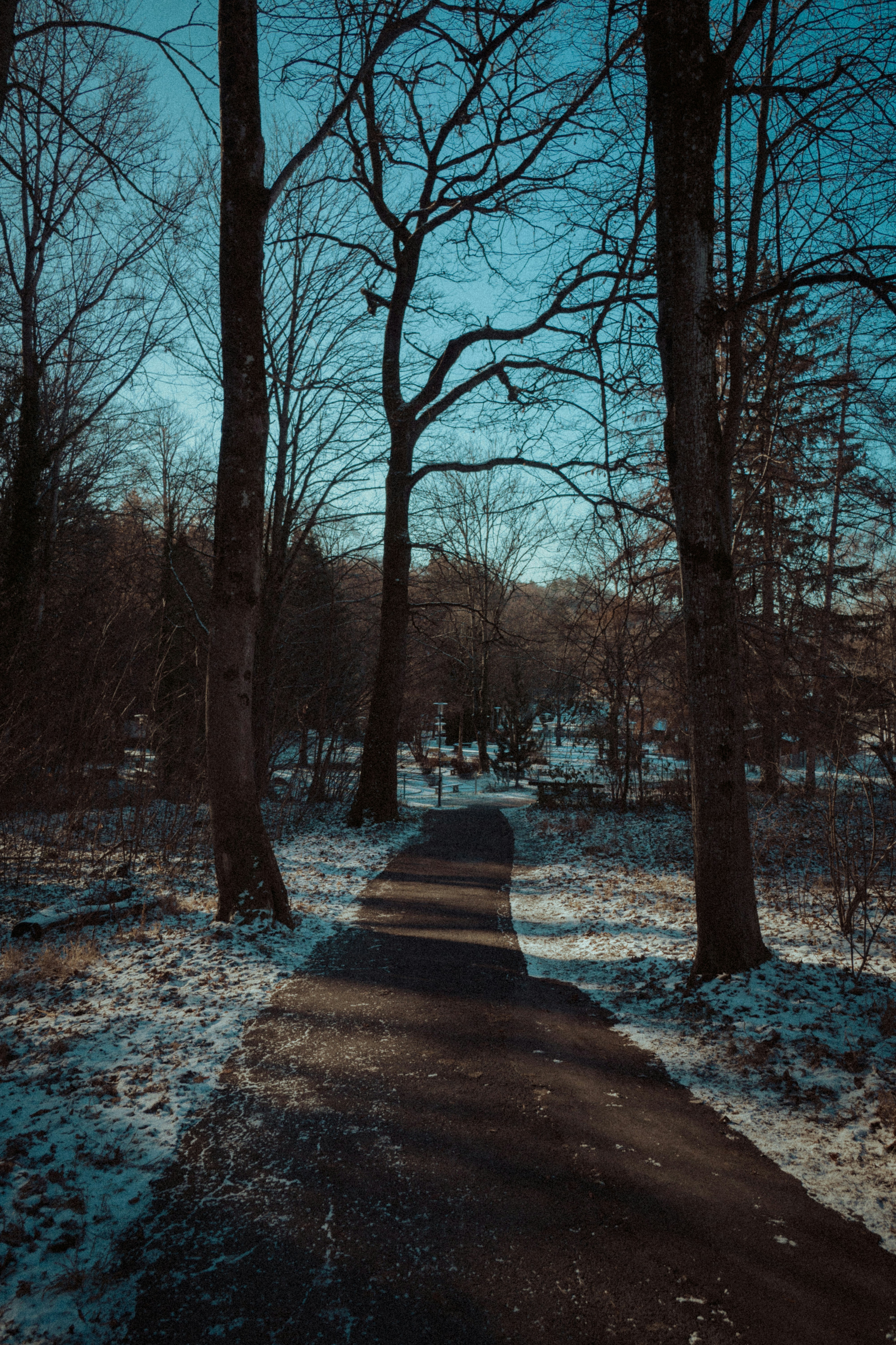 Photo by dreadzipper