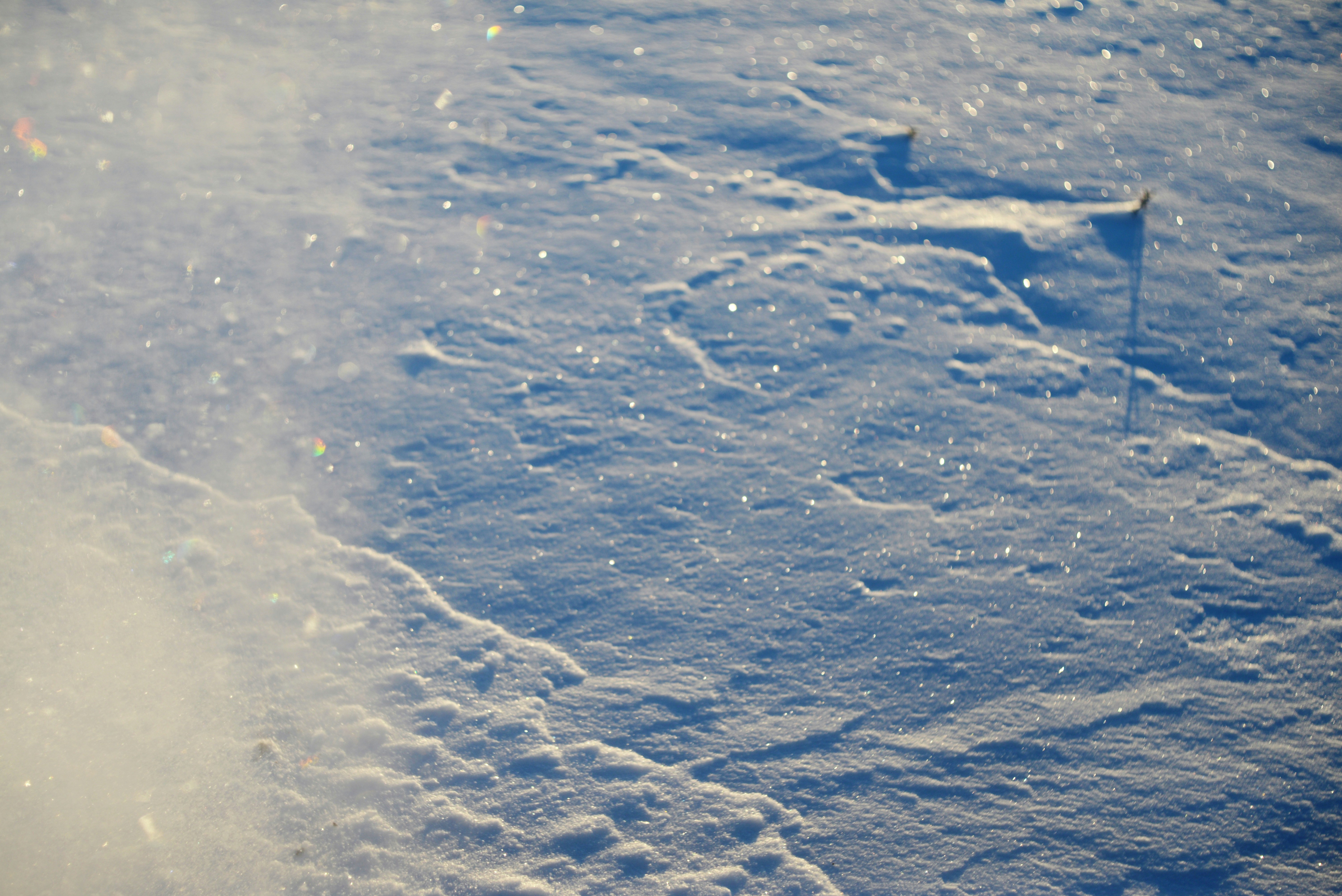 Photo by cherstve_pechivo