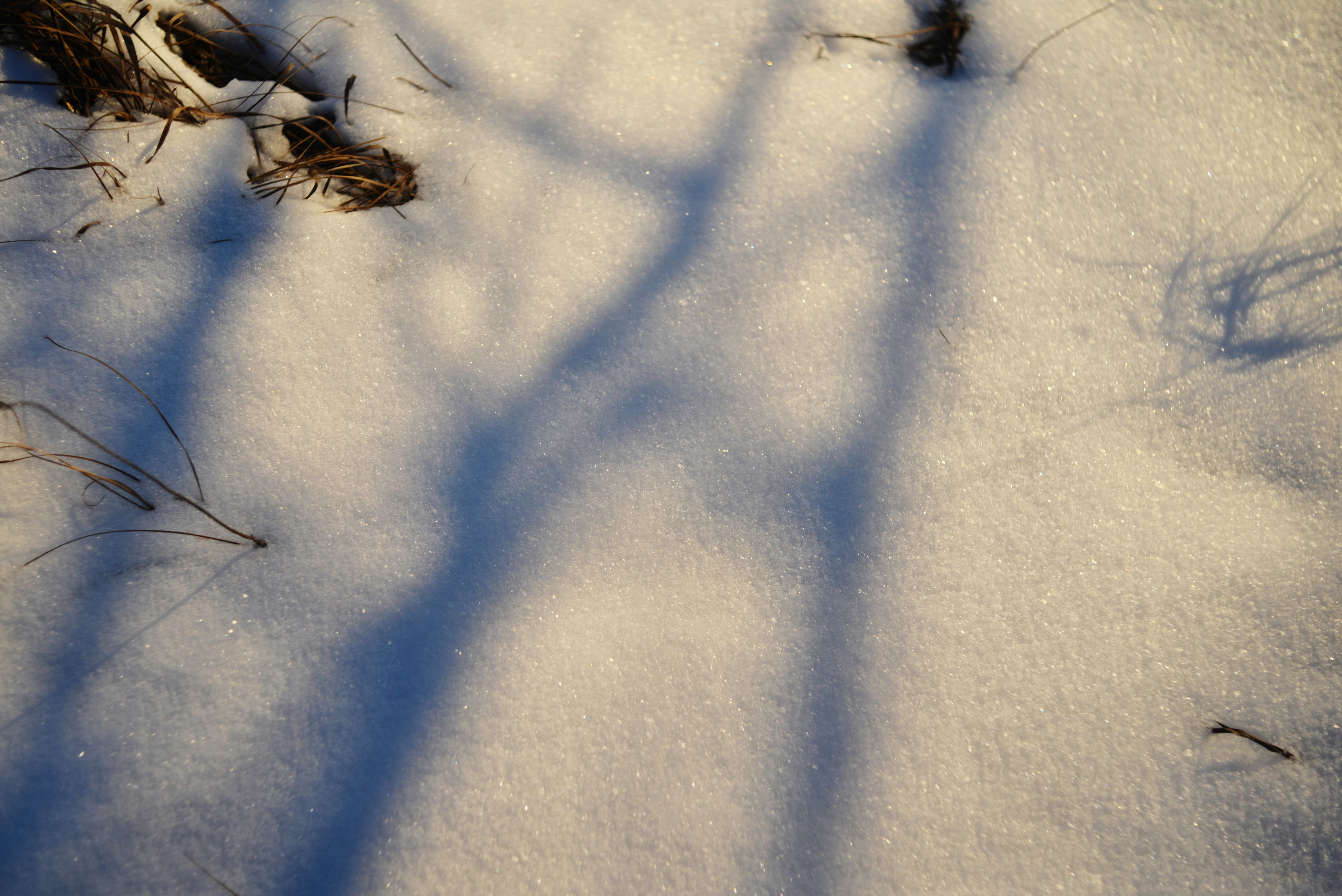 Photo by cherstve_pechivo