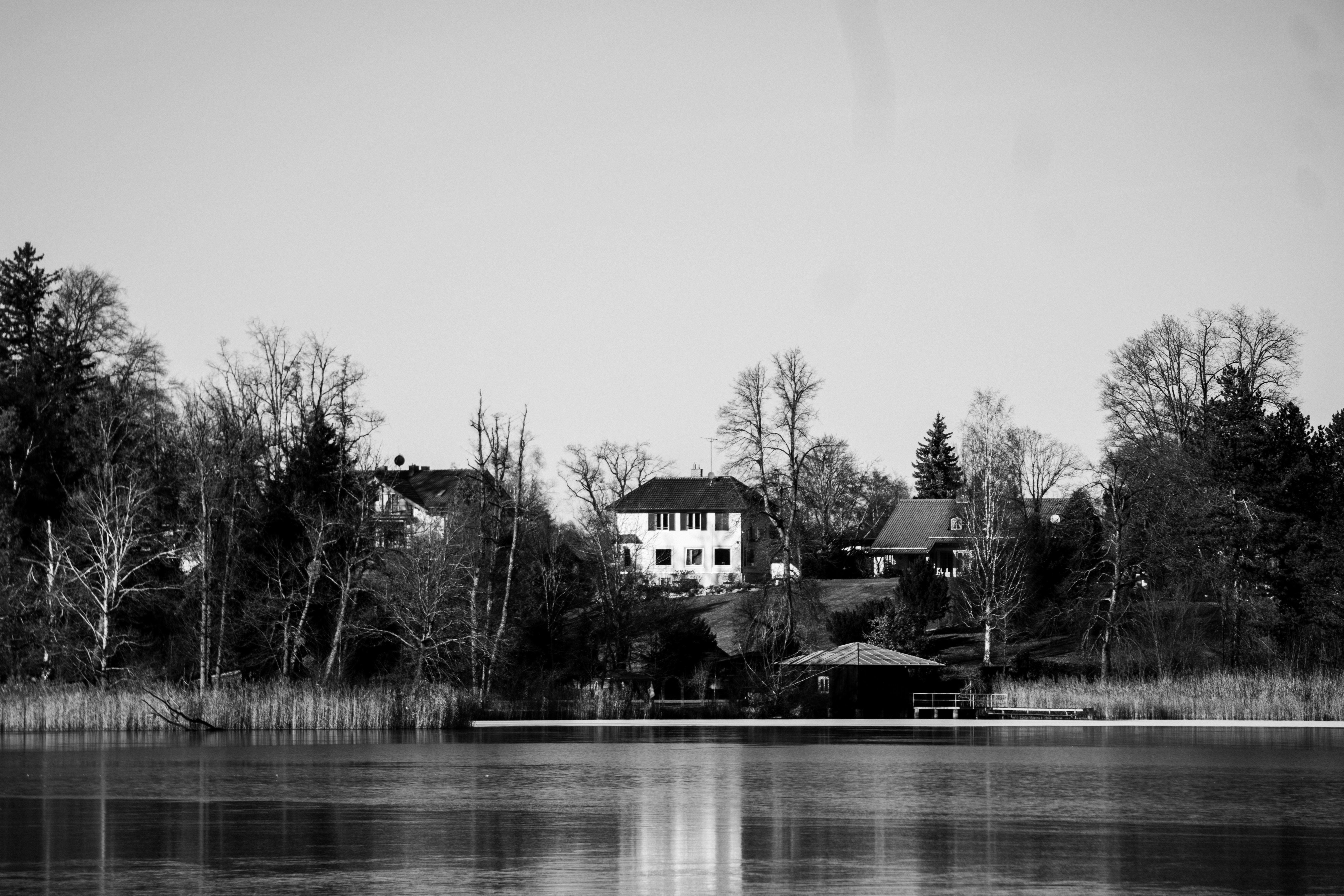 Photo by dreadzipper