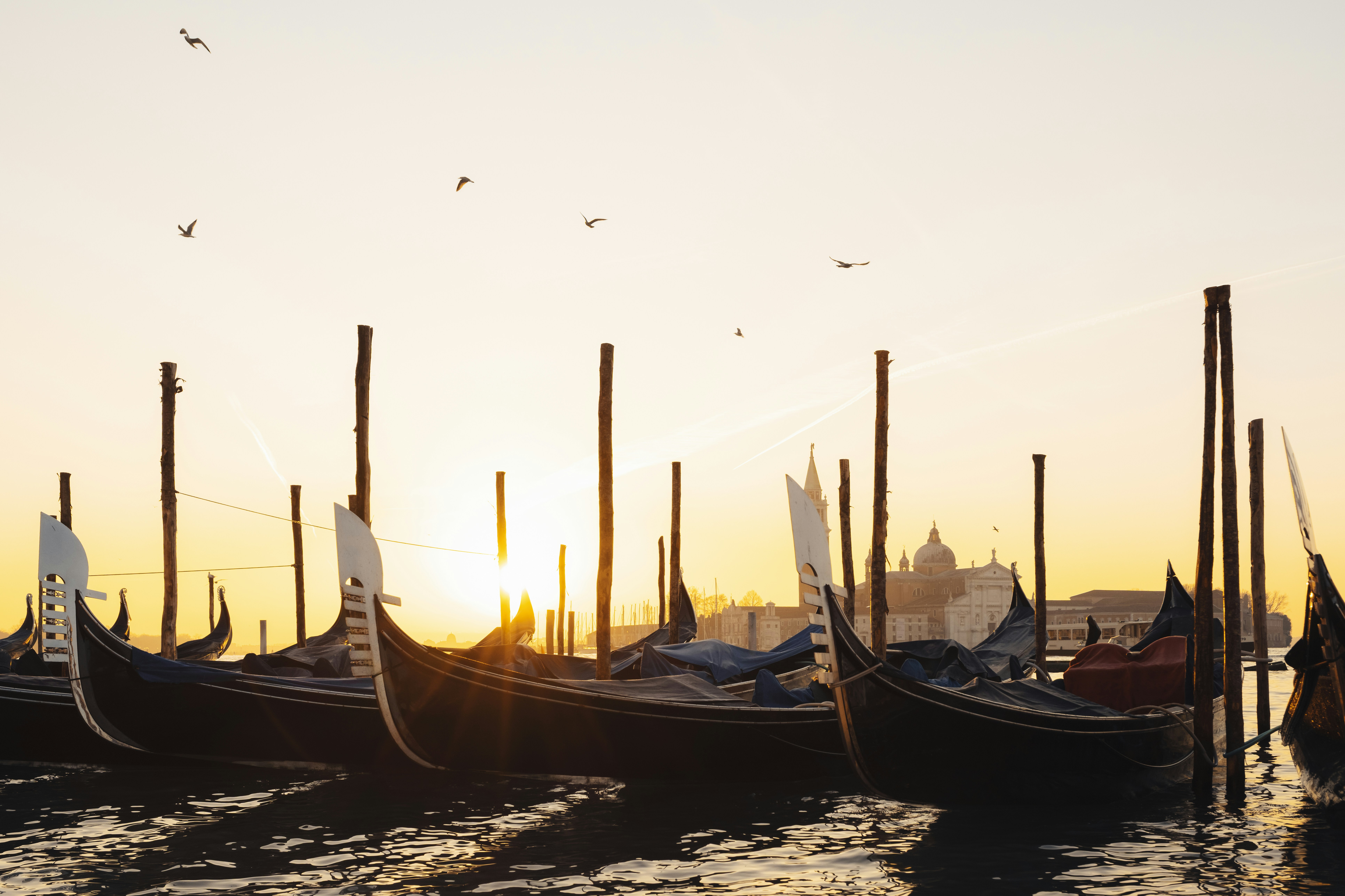 Submerged Surfaces to Fresh Interiors: Renewing Flood Damage