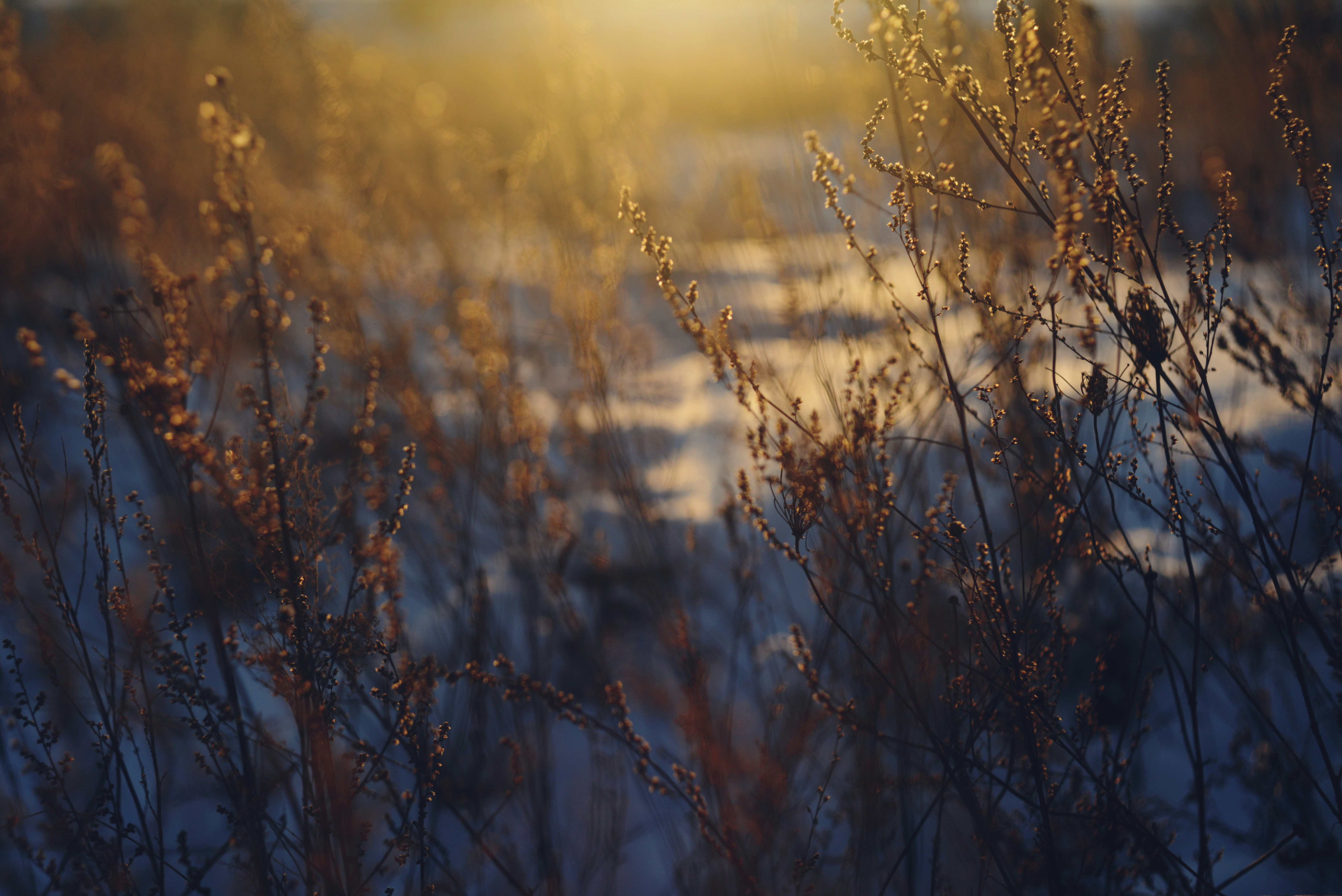 Photo by cherstve_pechivo