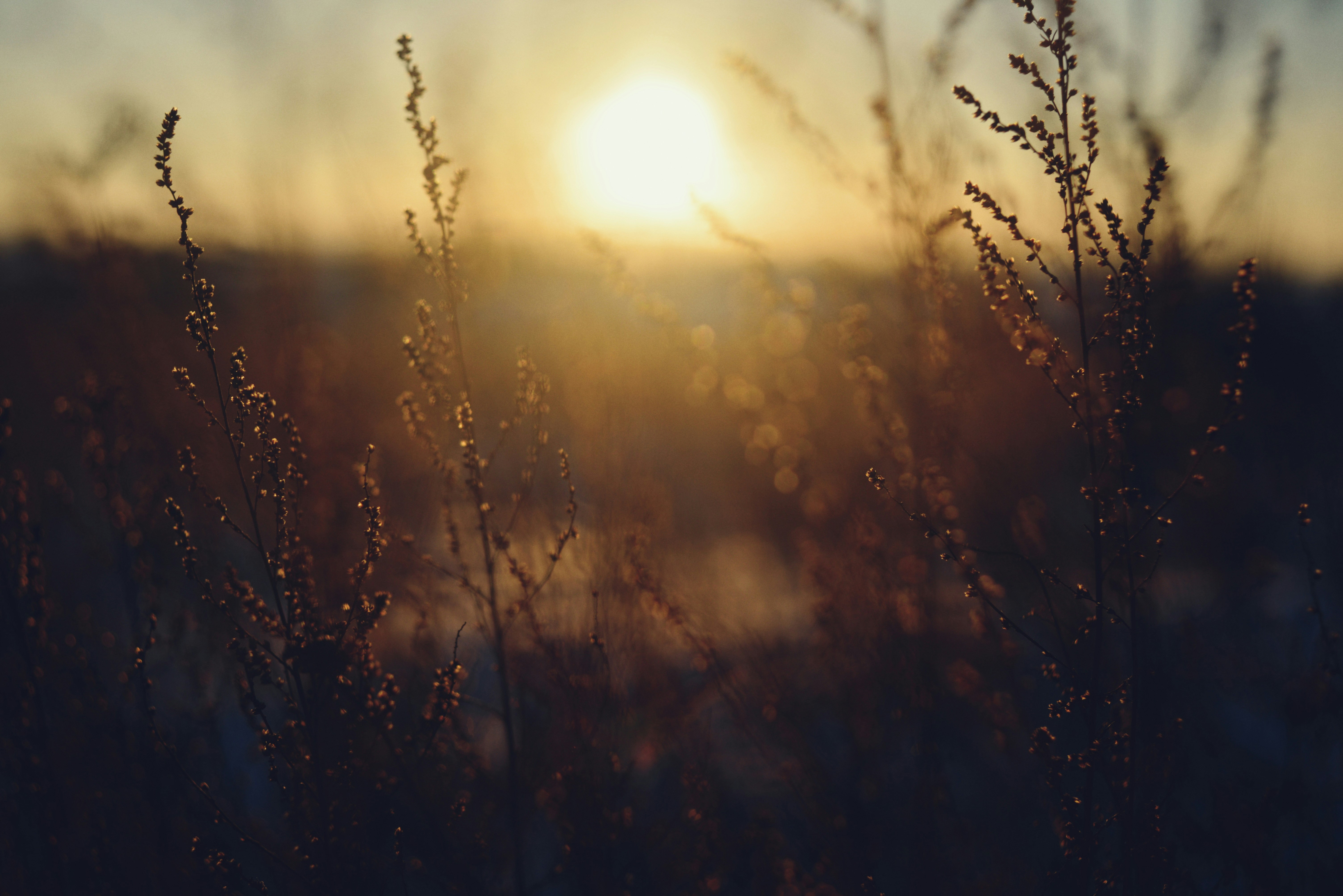 Photo by cherstve_pechivo