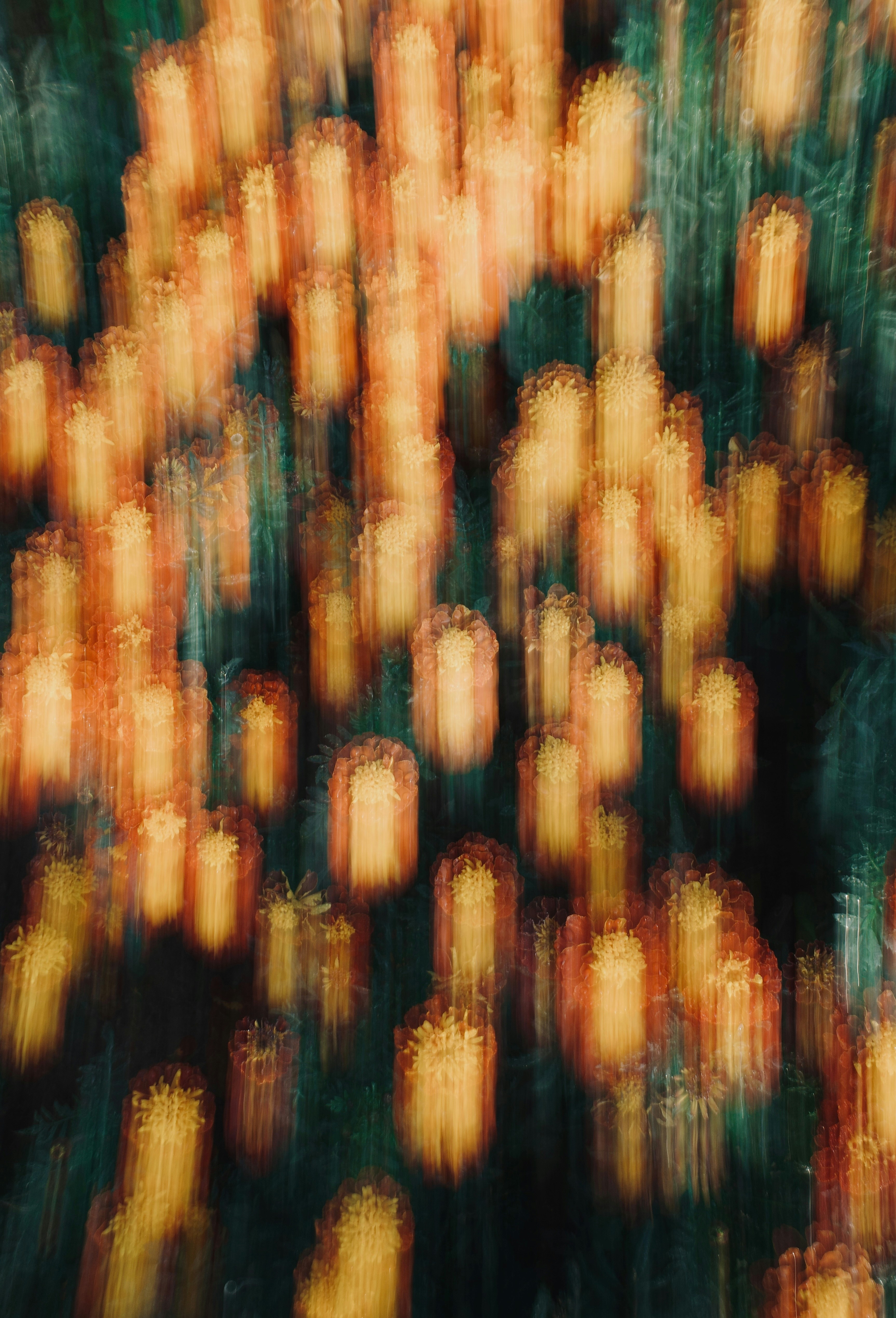 Blurred abstract background of glowing orange lights.