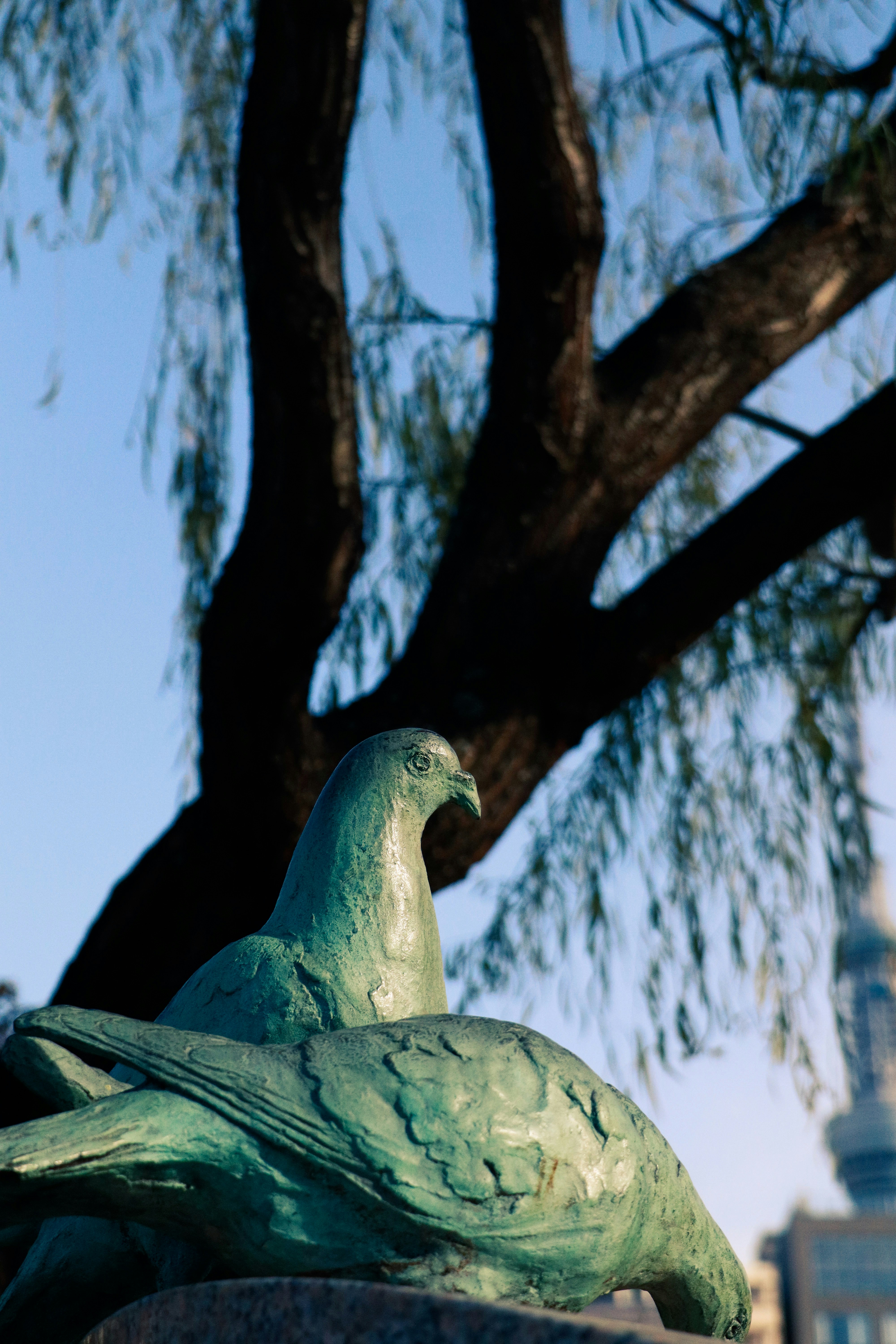 Photo by fedingo13_photography