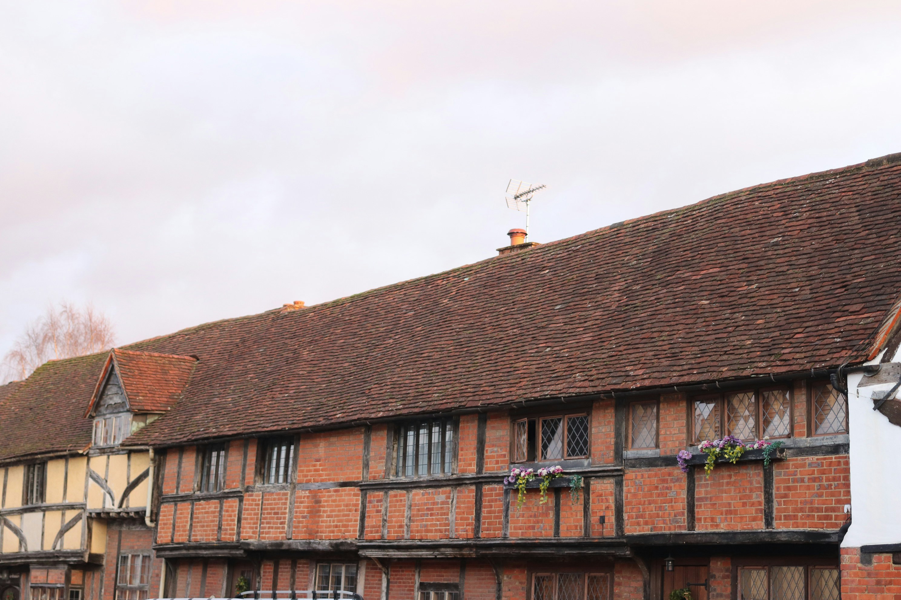 Photo by tanyabarrow