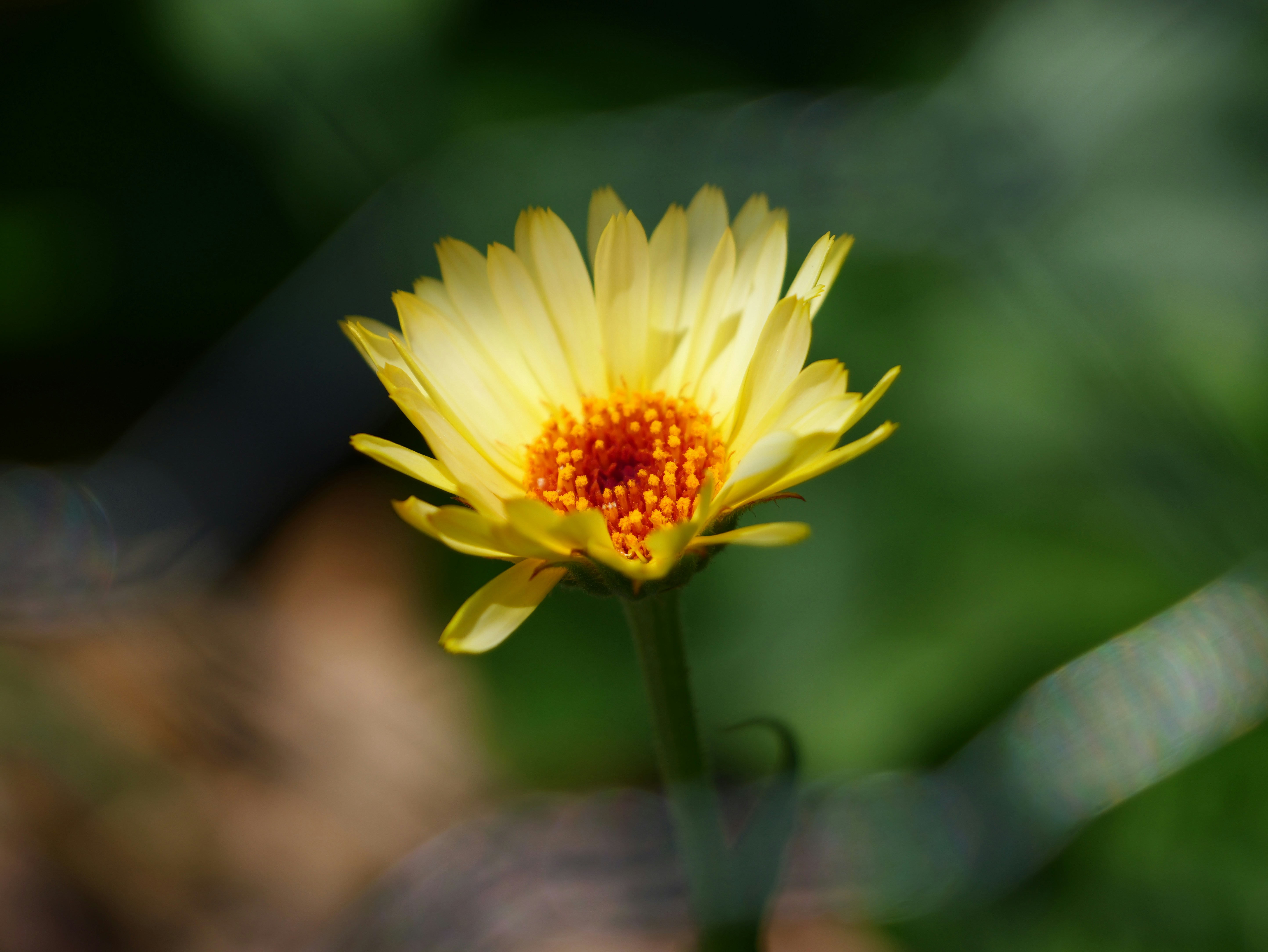 Photo by karonthompson