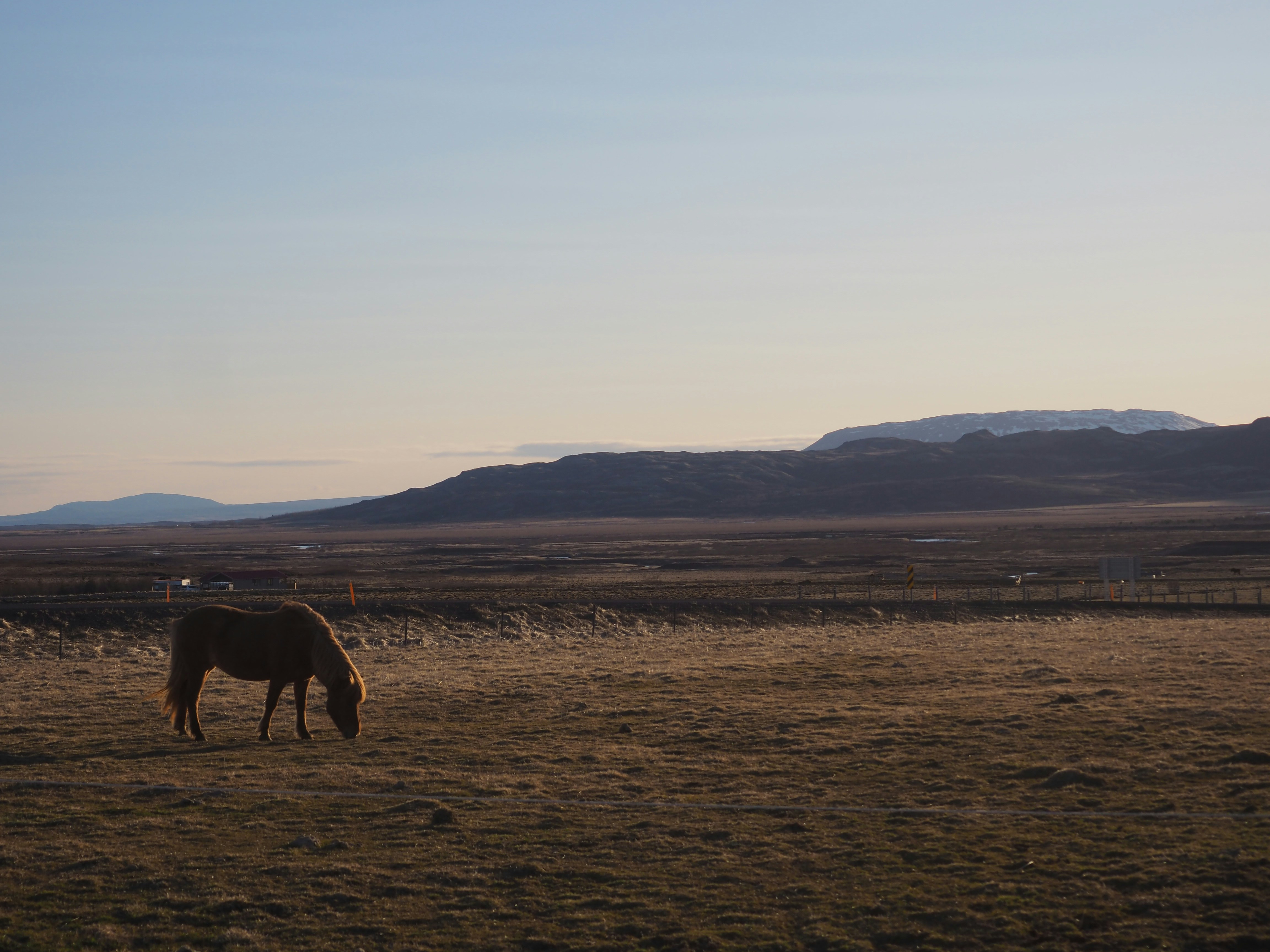 Photo by lilypadbunny