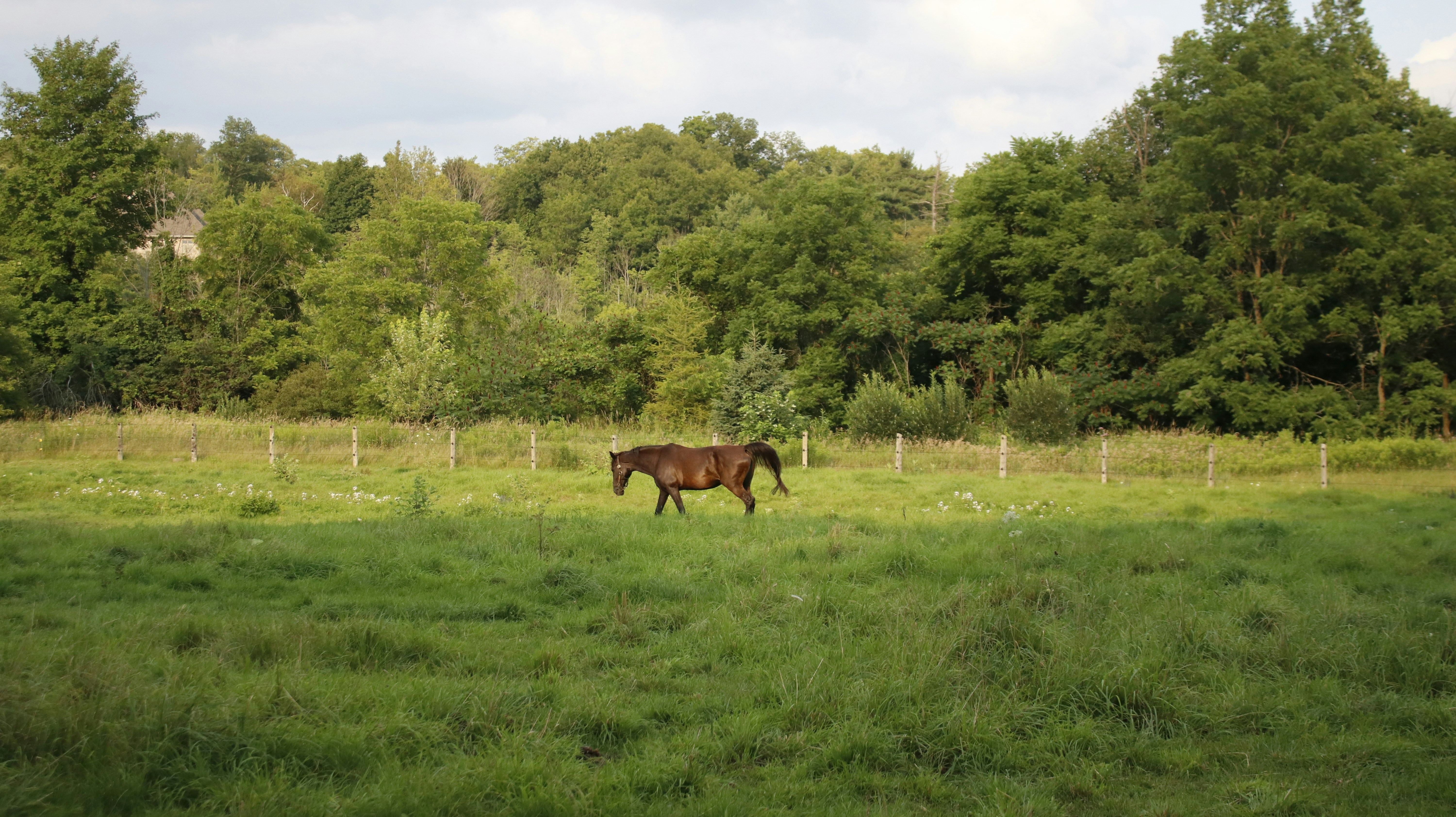 Photo by jawadqourshah