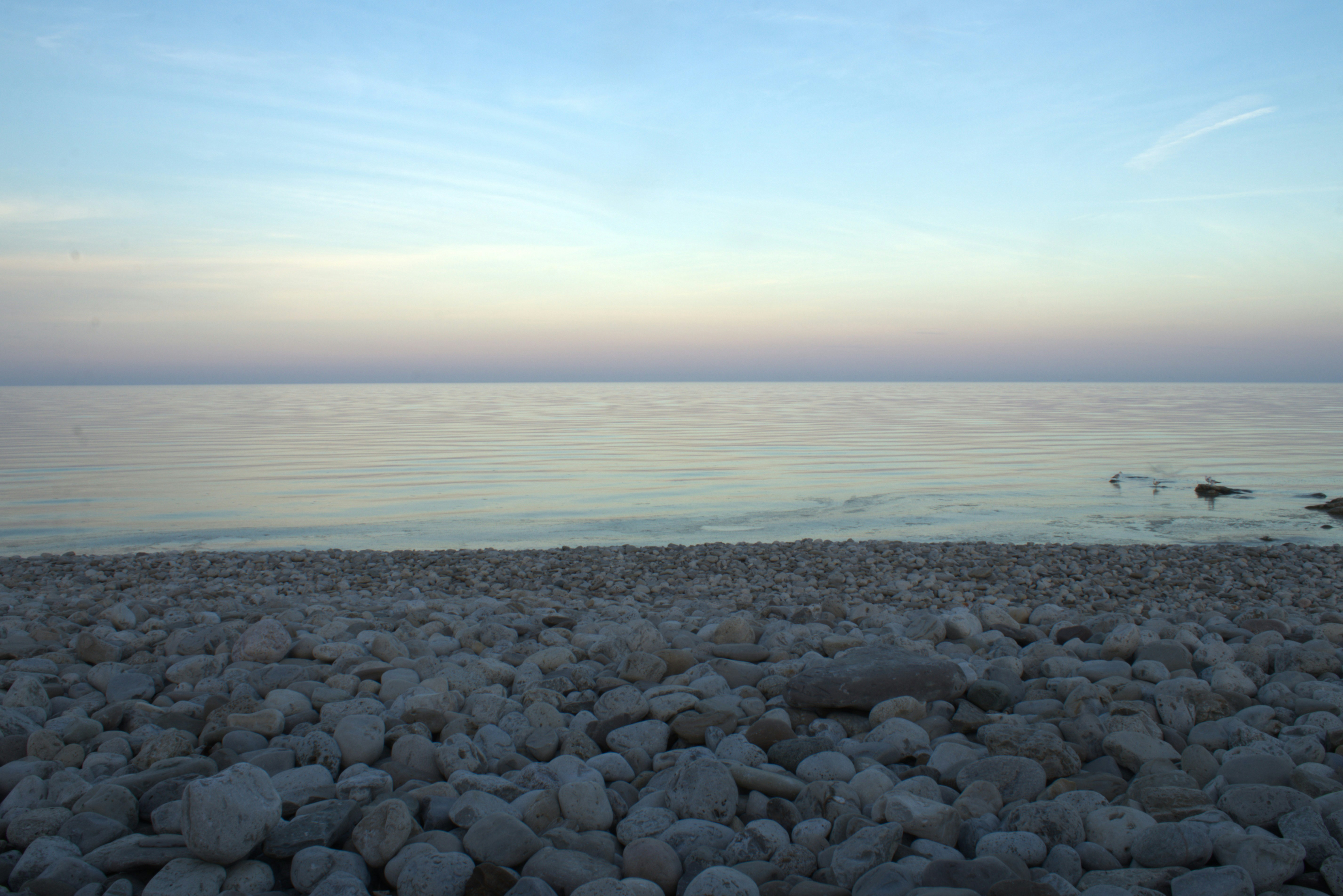 Photo by jawadqourshah