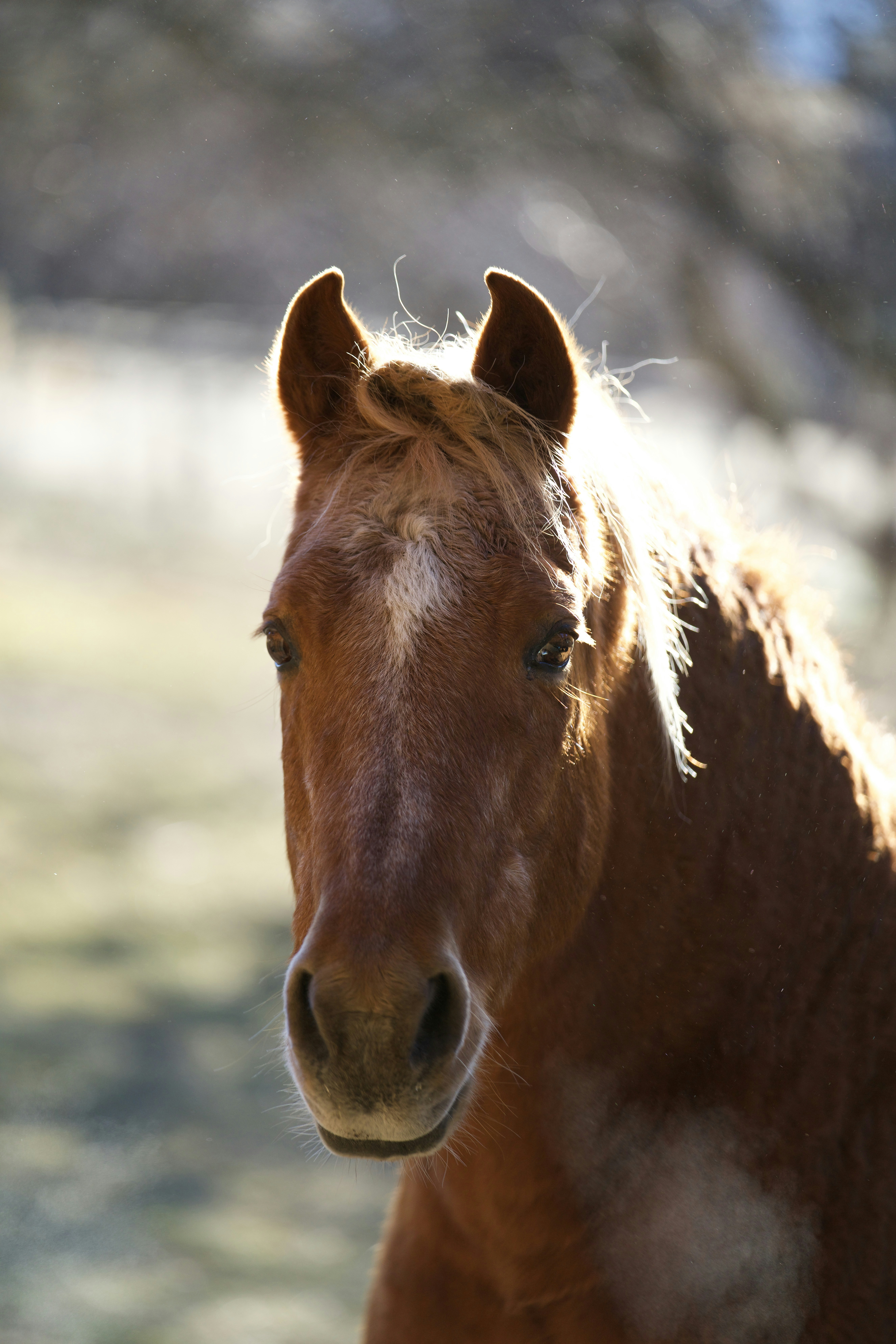 Photo by nathaniel2010