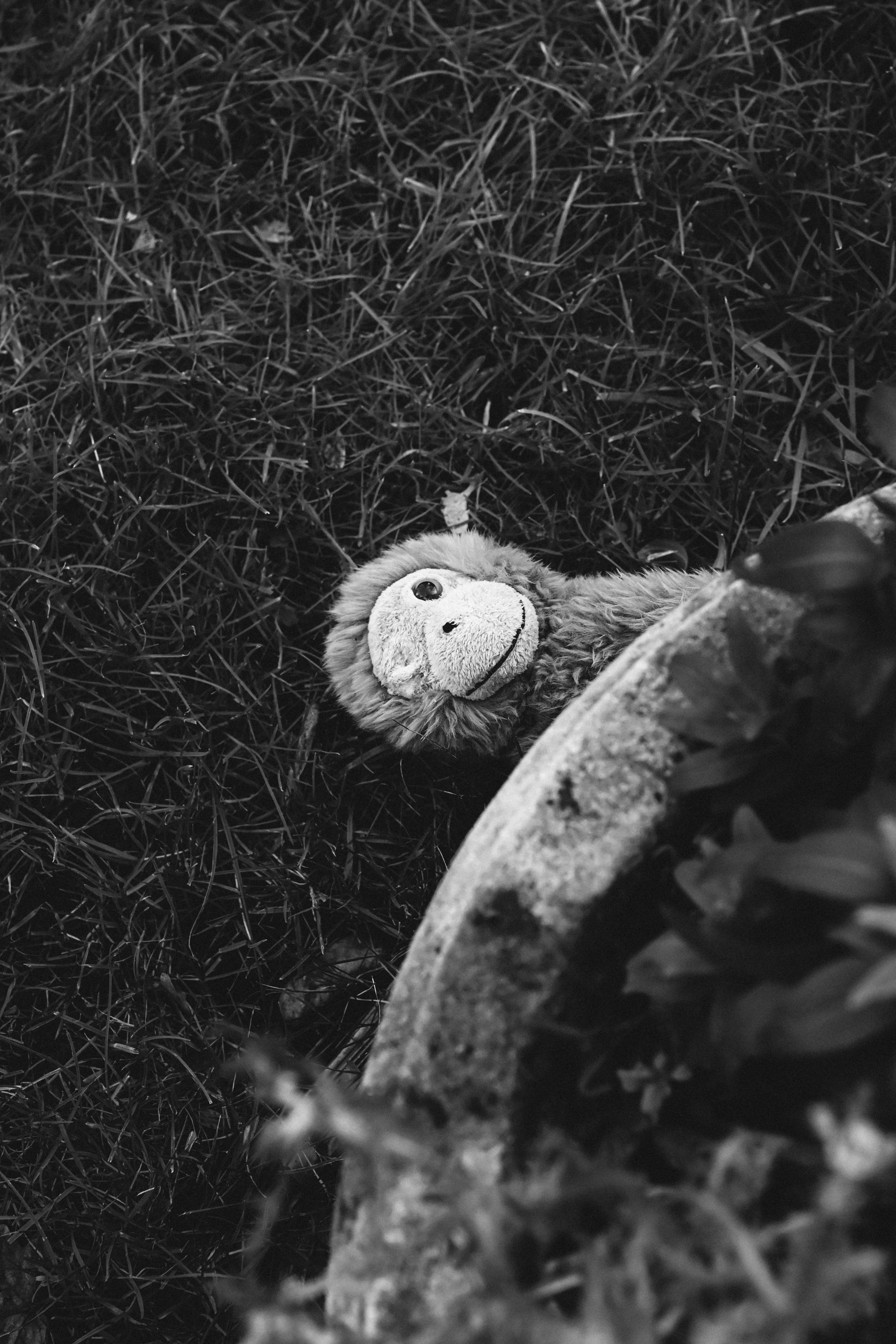 Um macaco de pelúcia está deitado na grama.