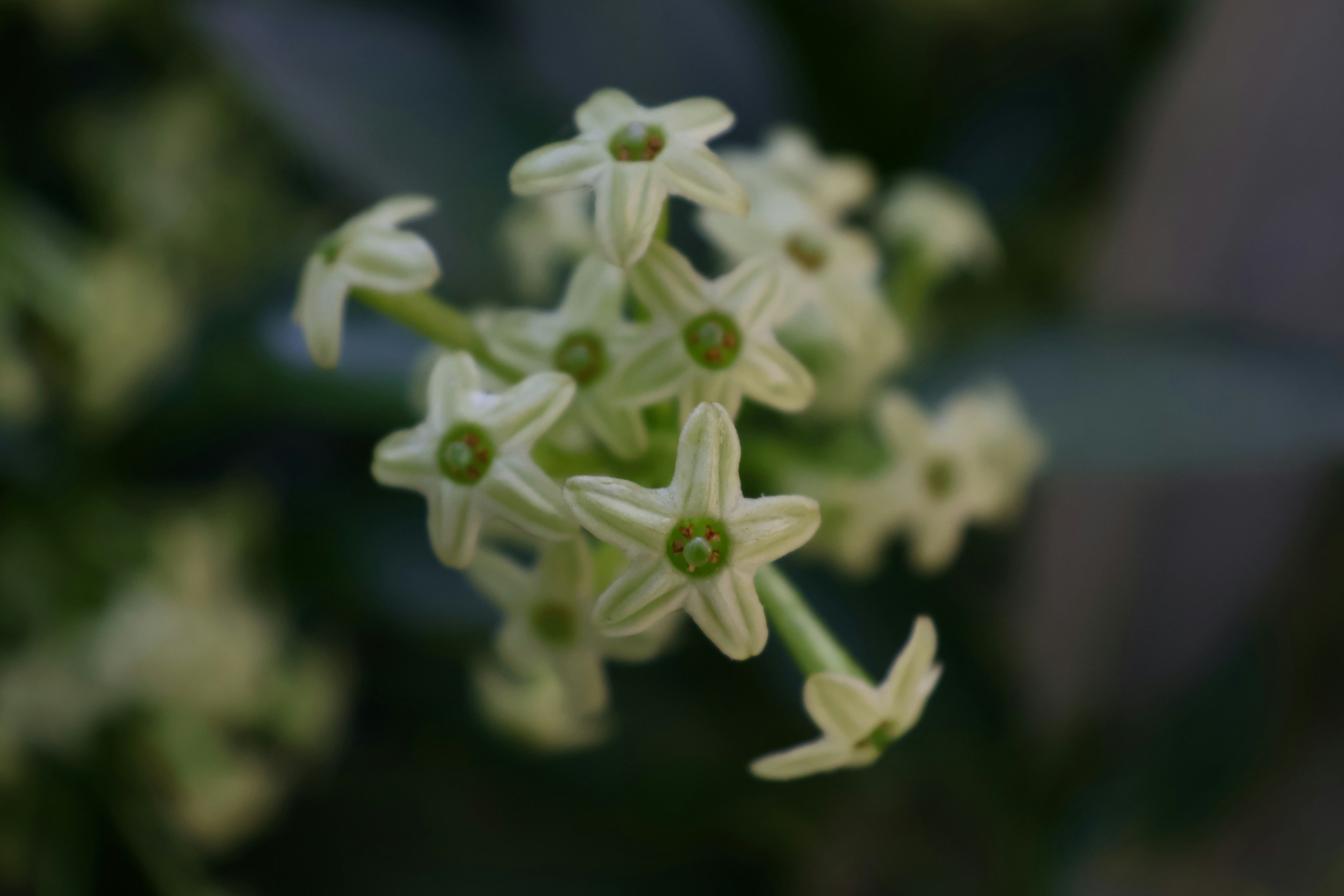 Photo by harshitkatiyar