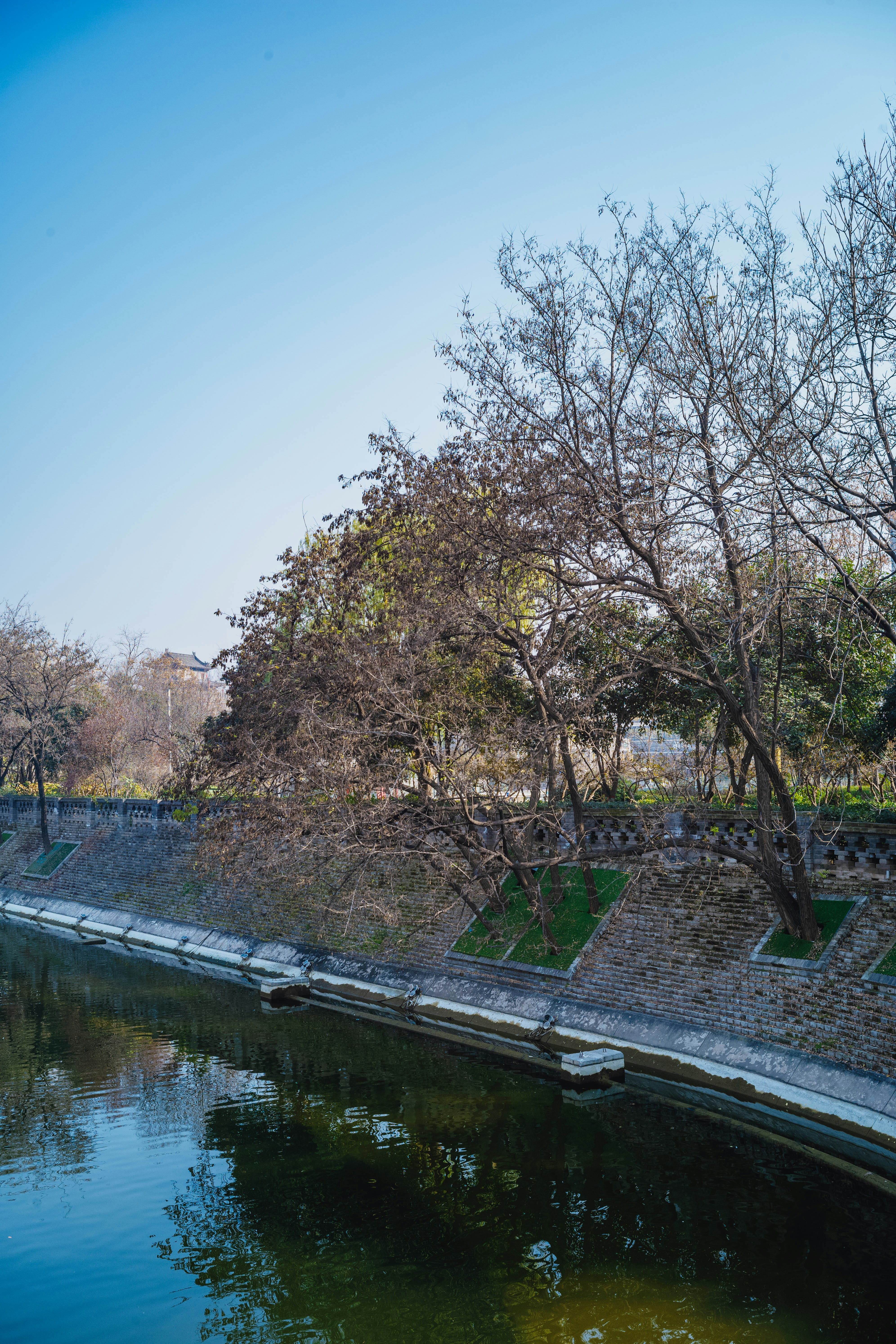 Photo by tommaomaoer