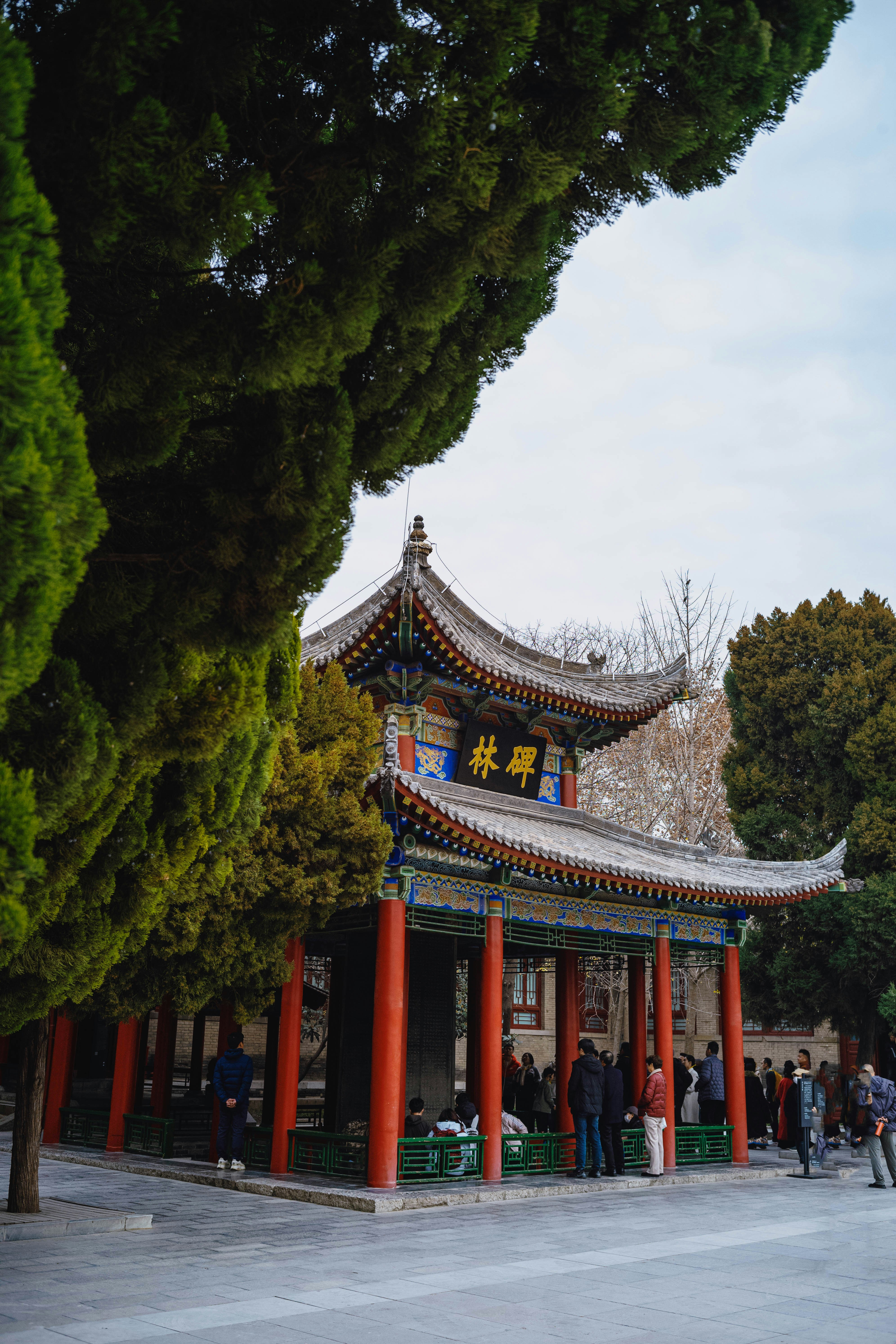 Photo by tommaomaoer