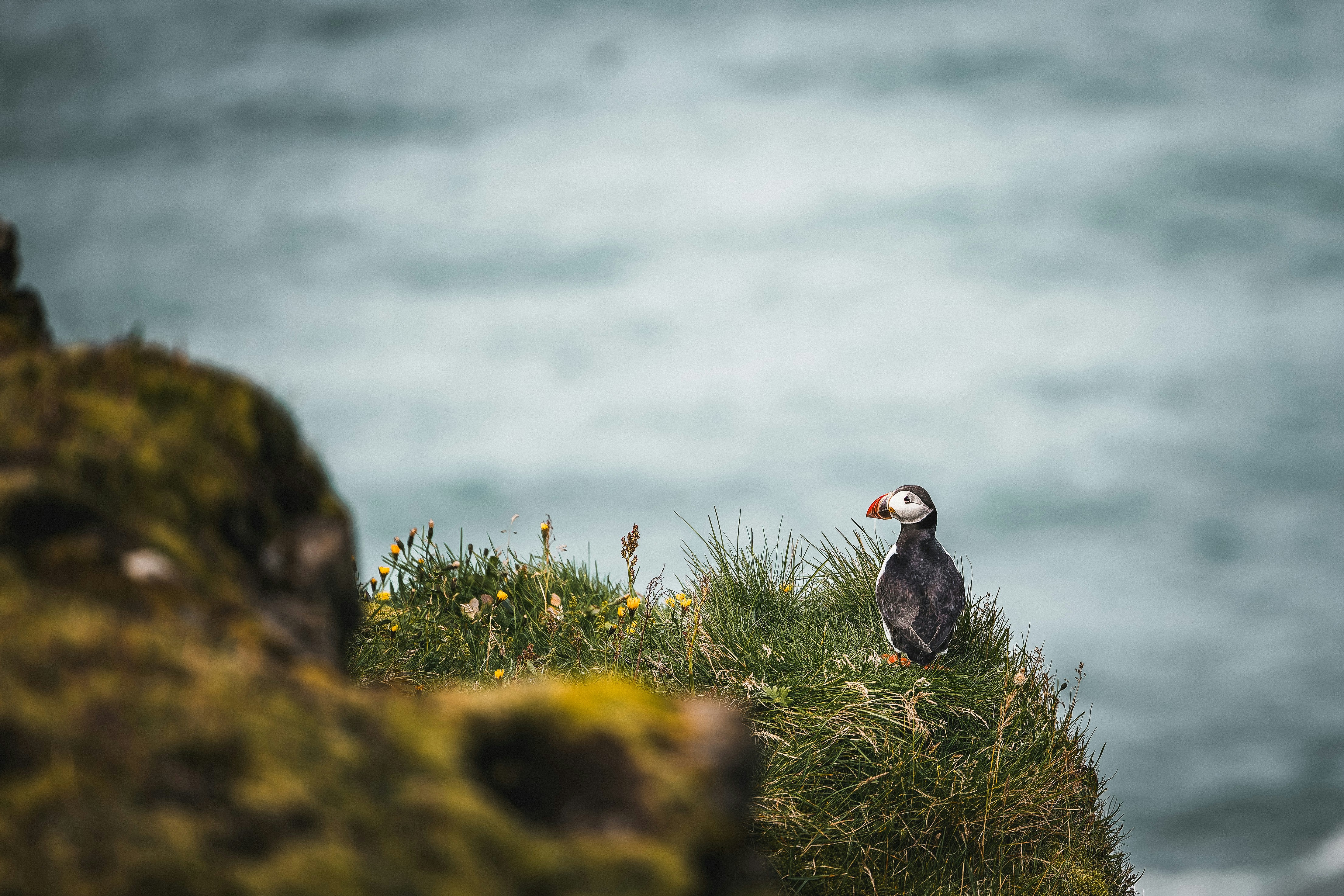 Photo by danny_rienecker