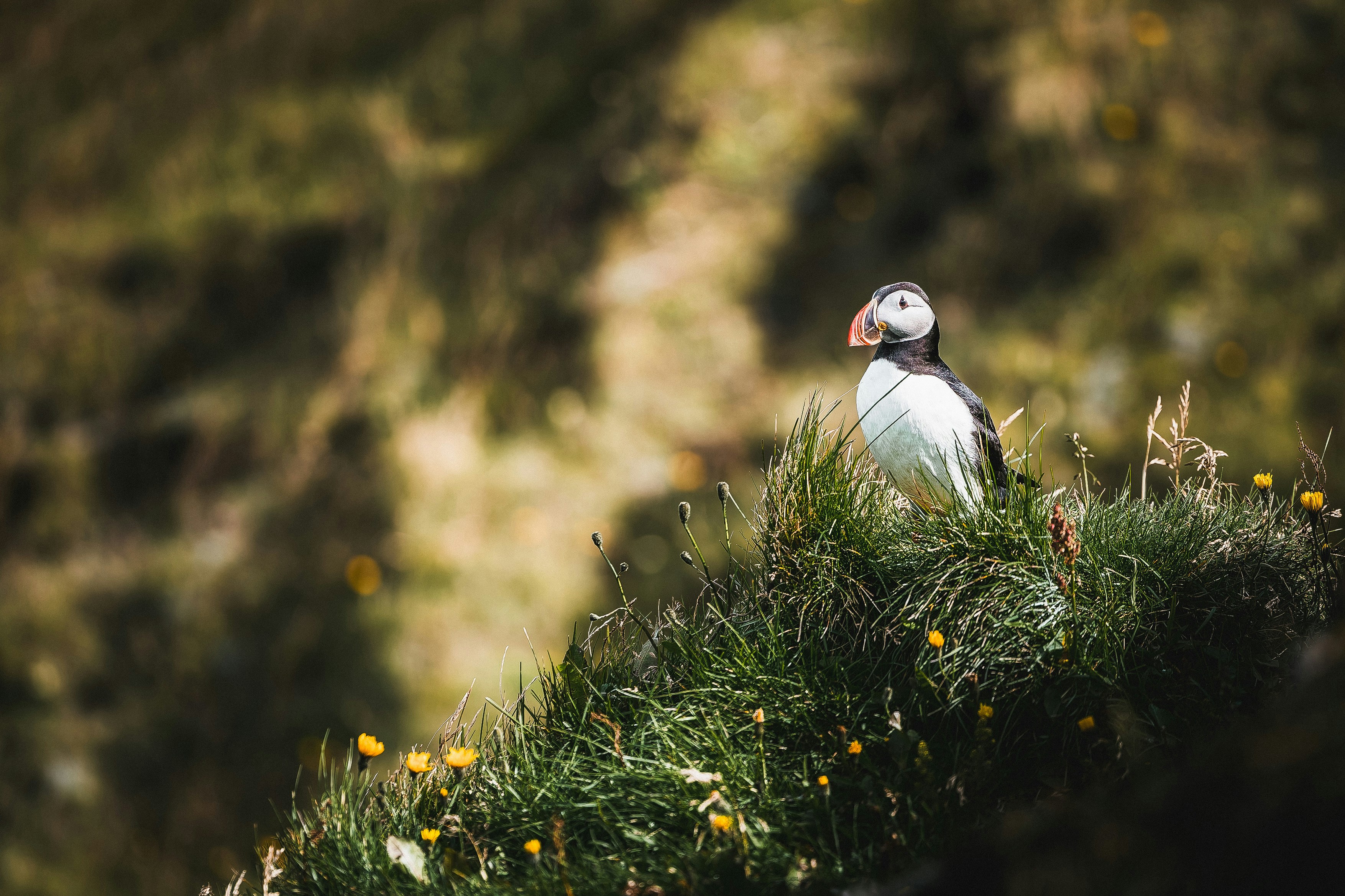 Photo by danny_rienecker